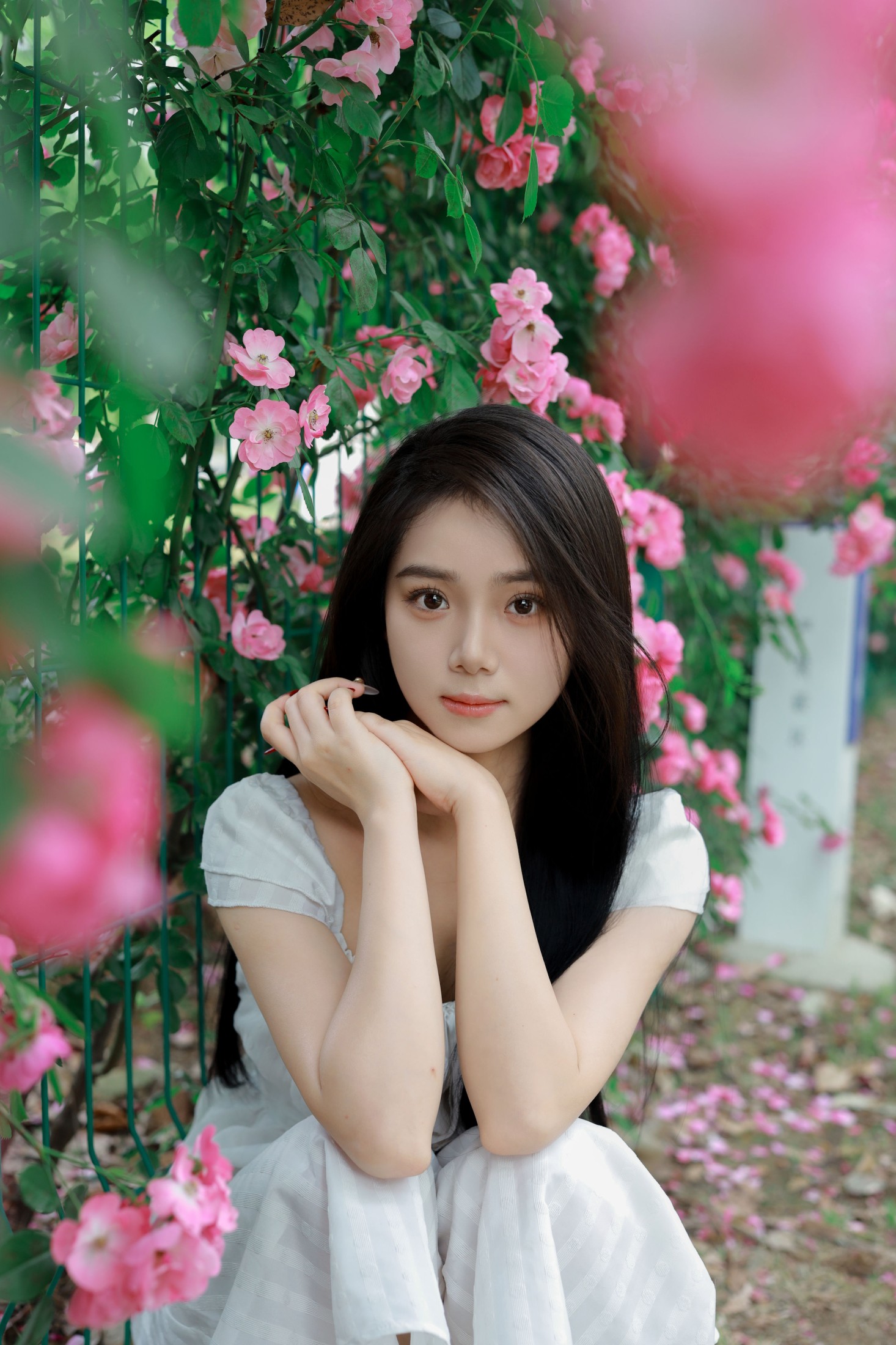我不刷鸟 – 《花墙》[26P]