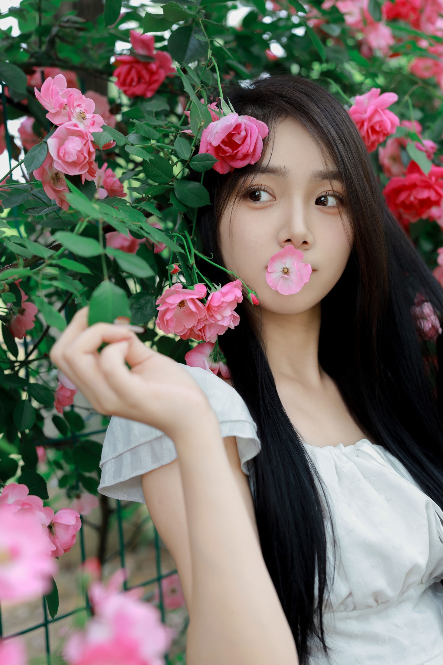 我不刷鸟 – 《花墙》[26P]