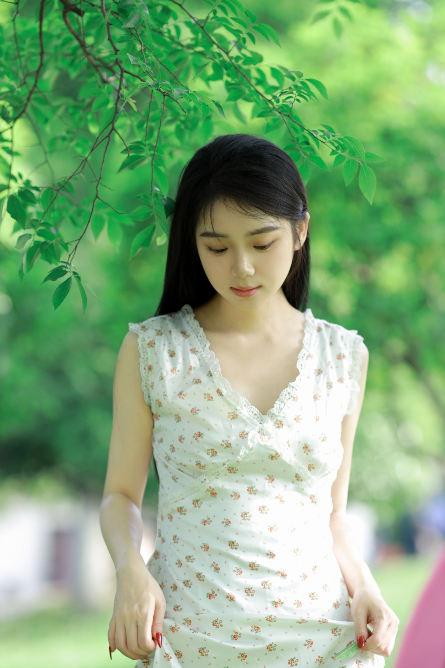 我不刷鸟 – 《林间绿影》[24P]
