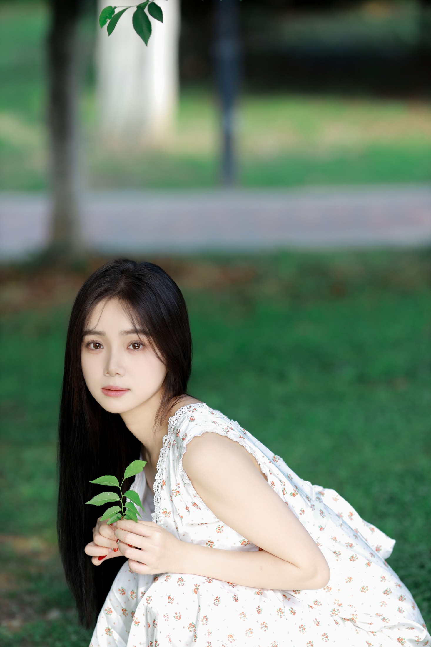 我不刷鸟 – 《林间绿影》[24P]