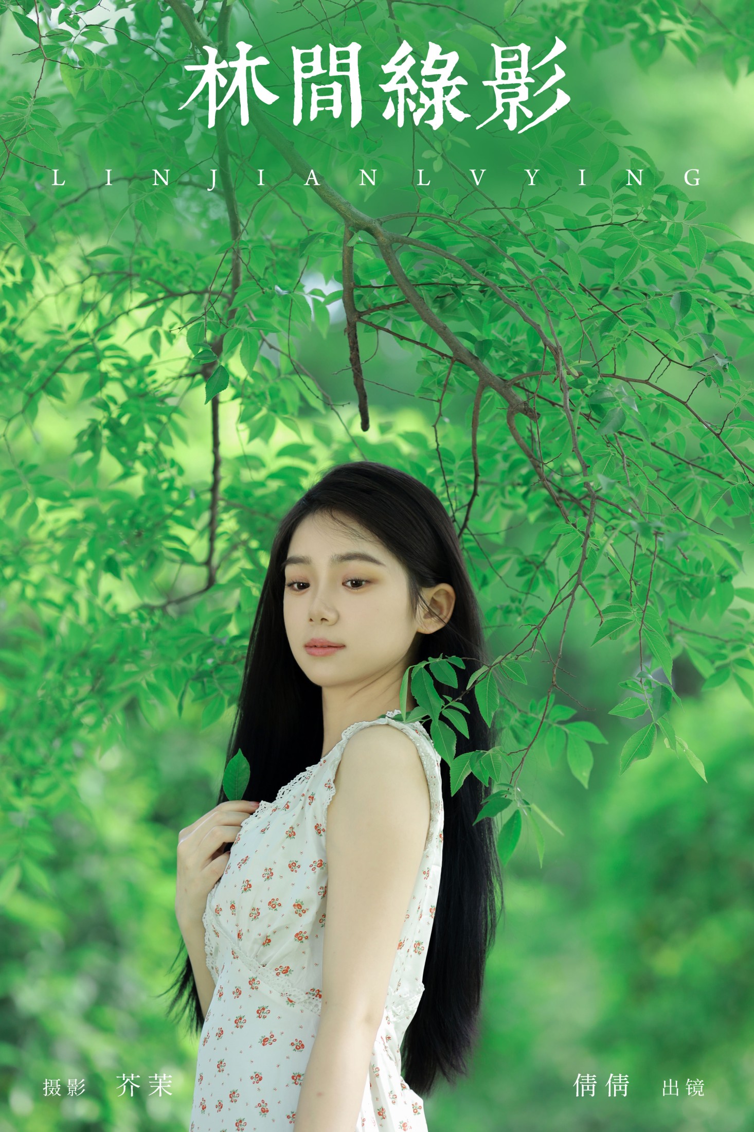 林间绿影