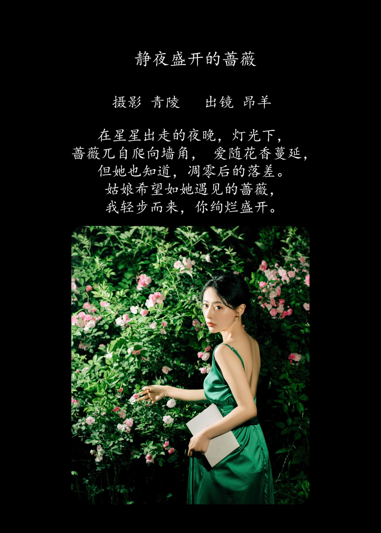 是昂羊呀 – 《静夜盛开的蔷薇》[36P]