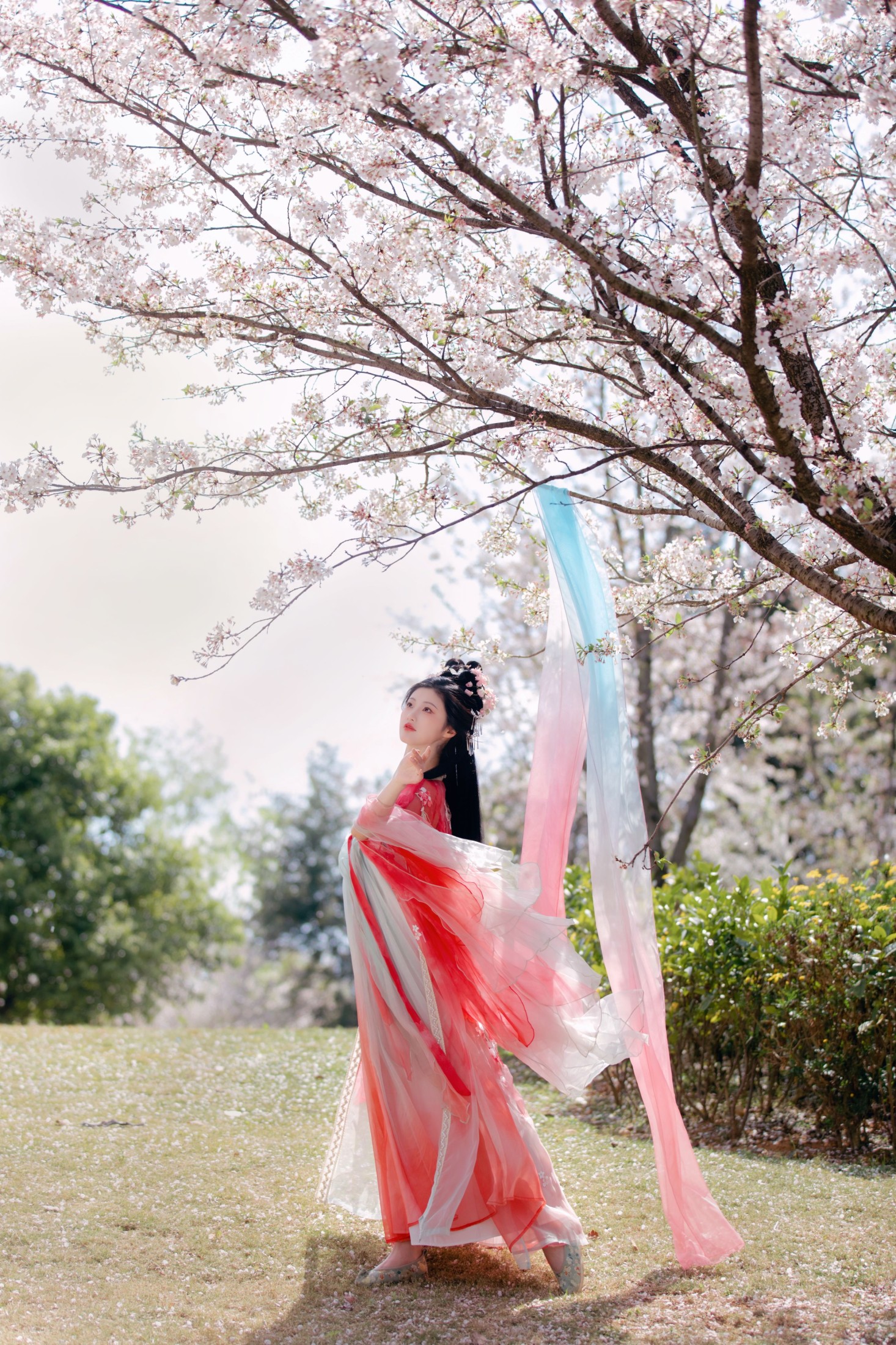 阳阳 – 《樱花雨》[22P]