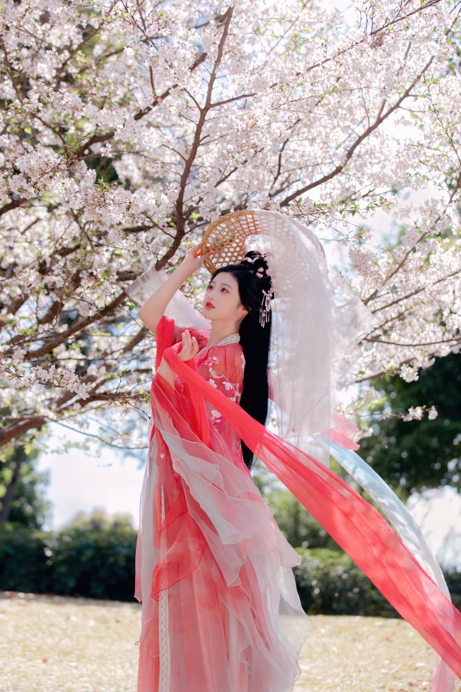 阳阳 – 《樱花雨》[22P]