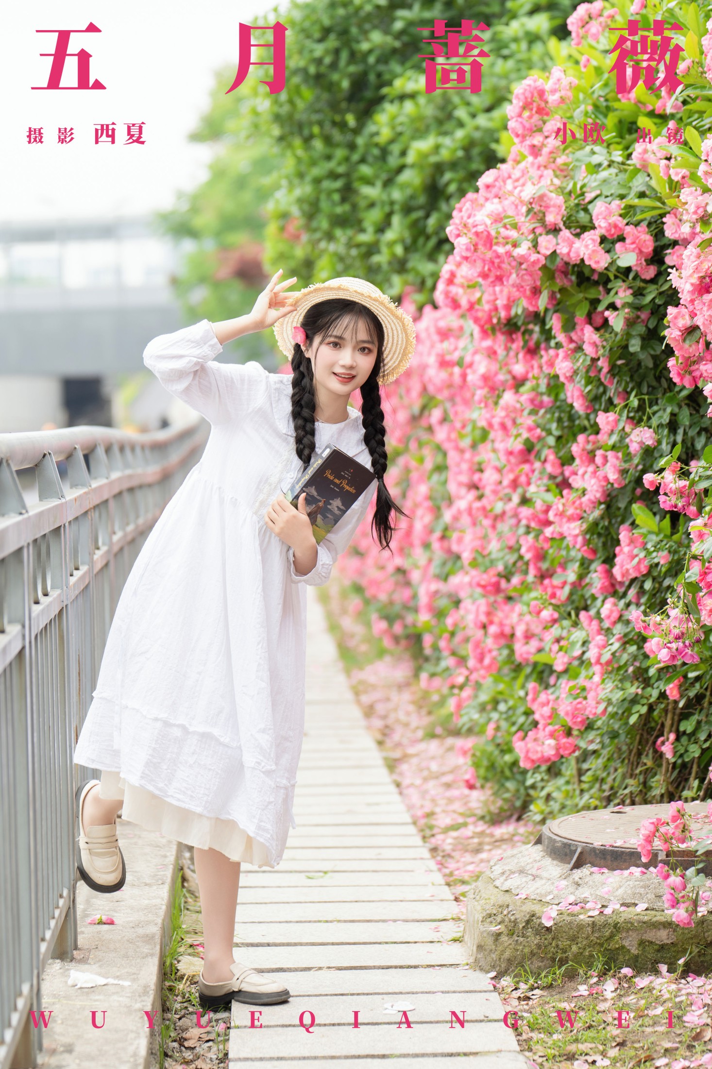 五月蔷薇