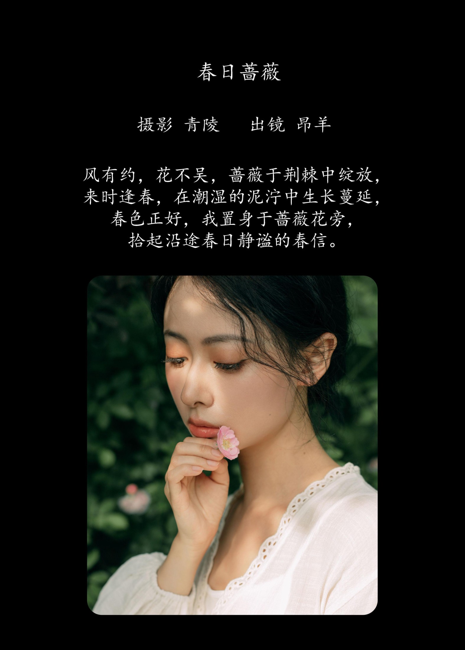 是昂羊呀 – 《春日蔷薇》[33P]
