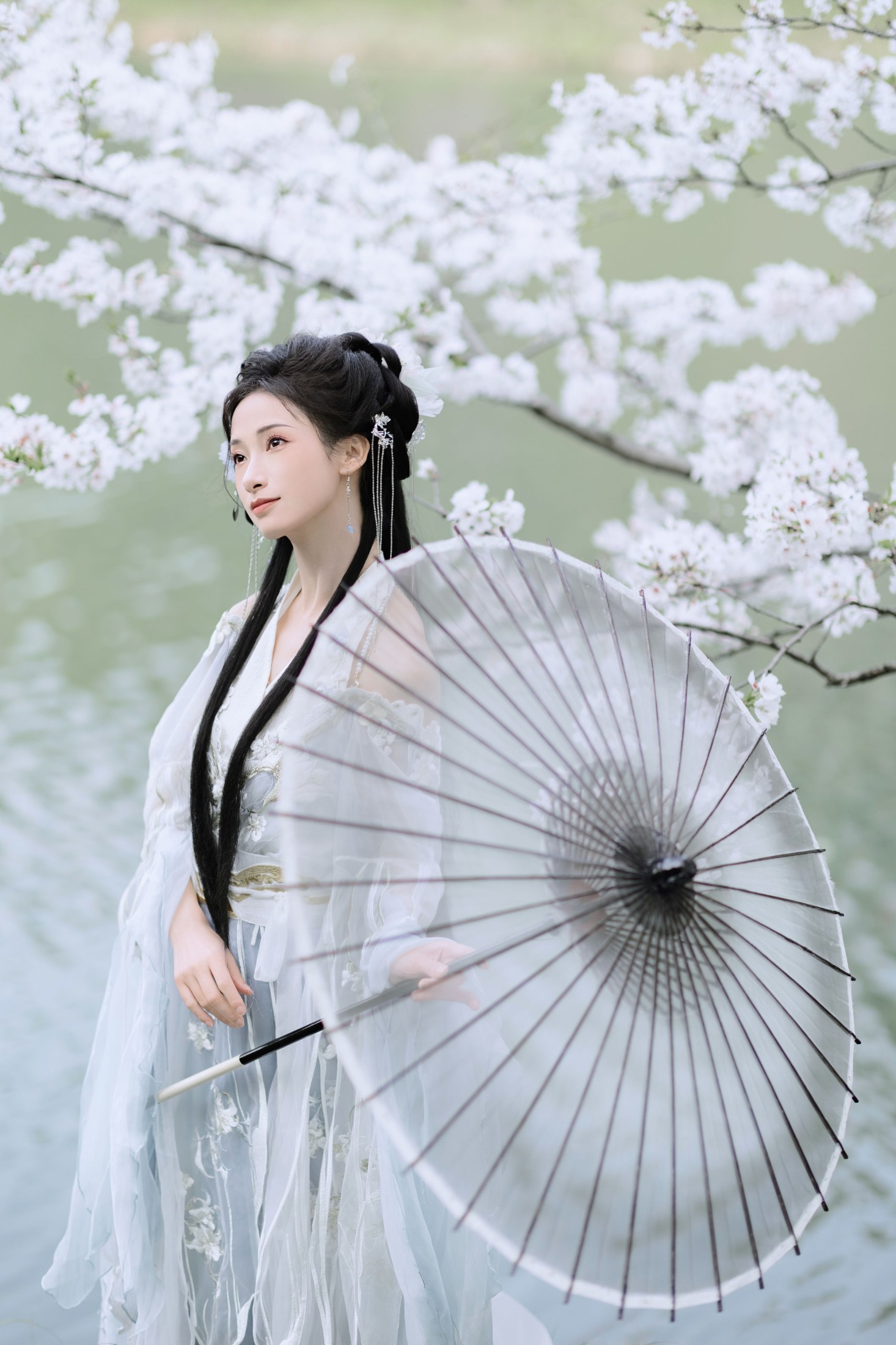 眸小妖 – 《樱吹雪》[22P]