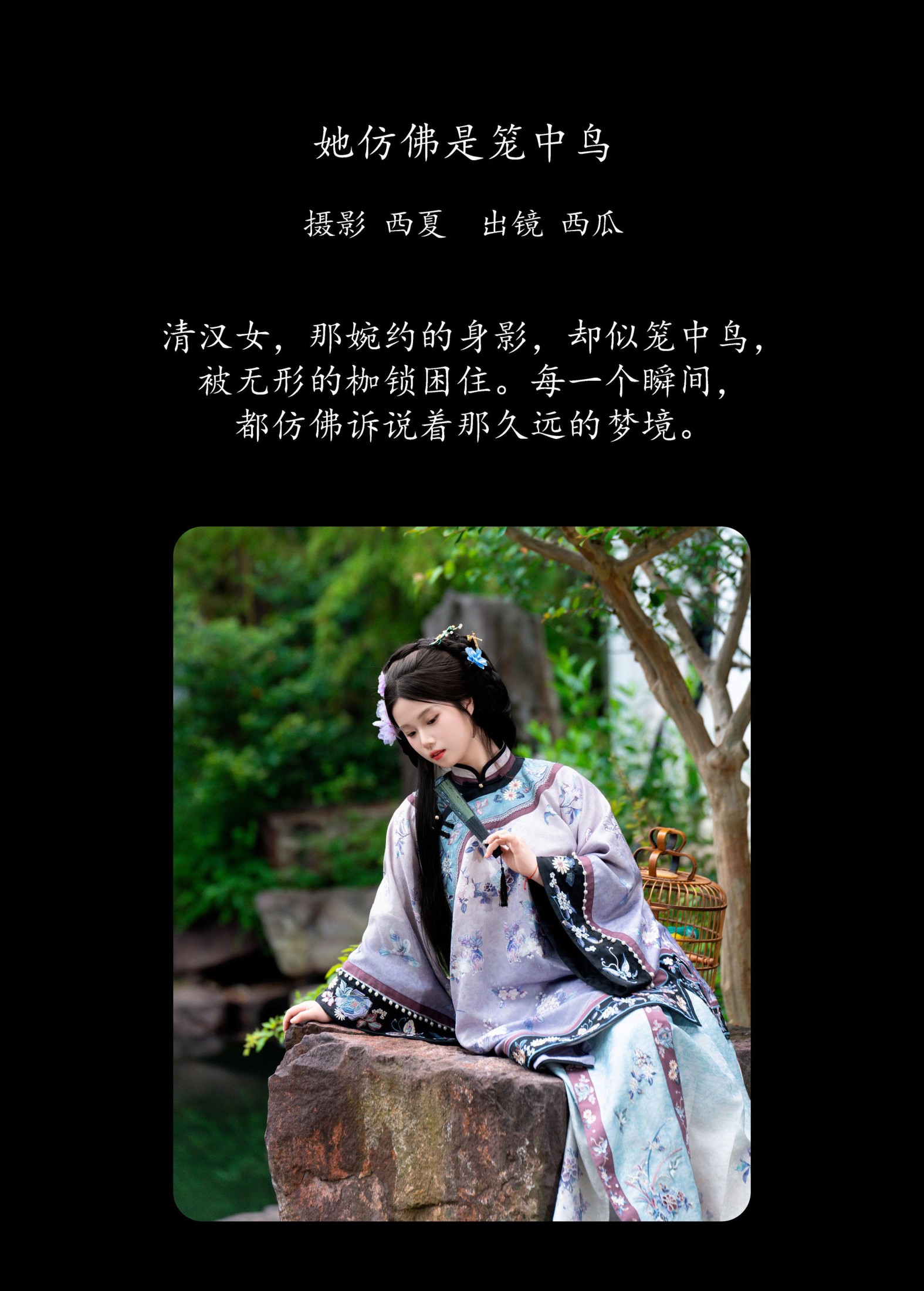 西瓜 – 《她仿佛是笼中鸟》[25P]