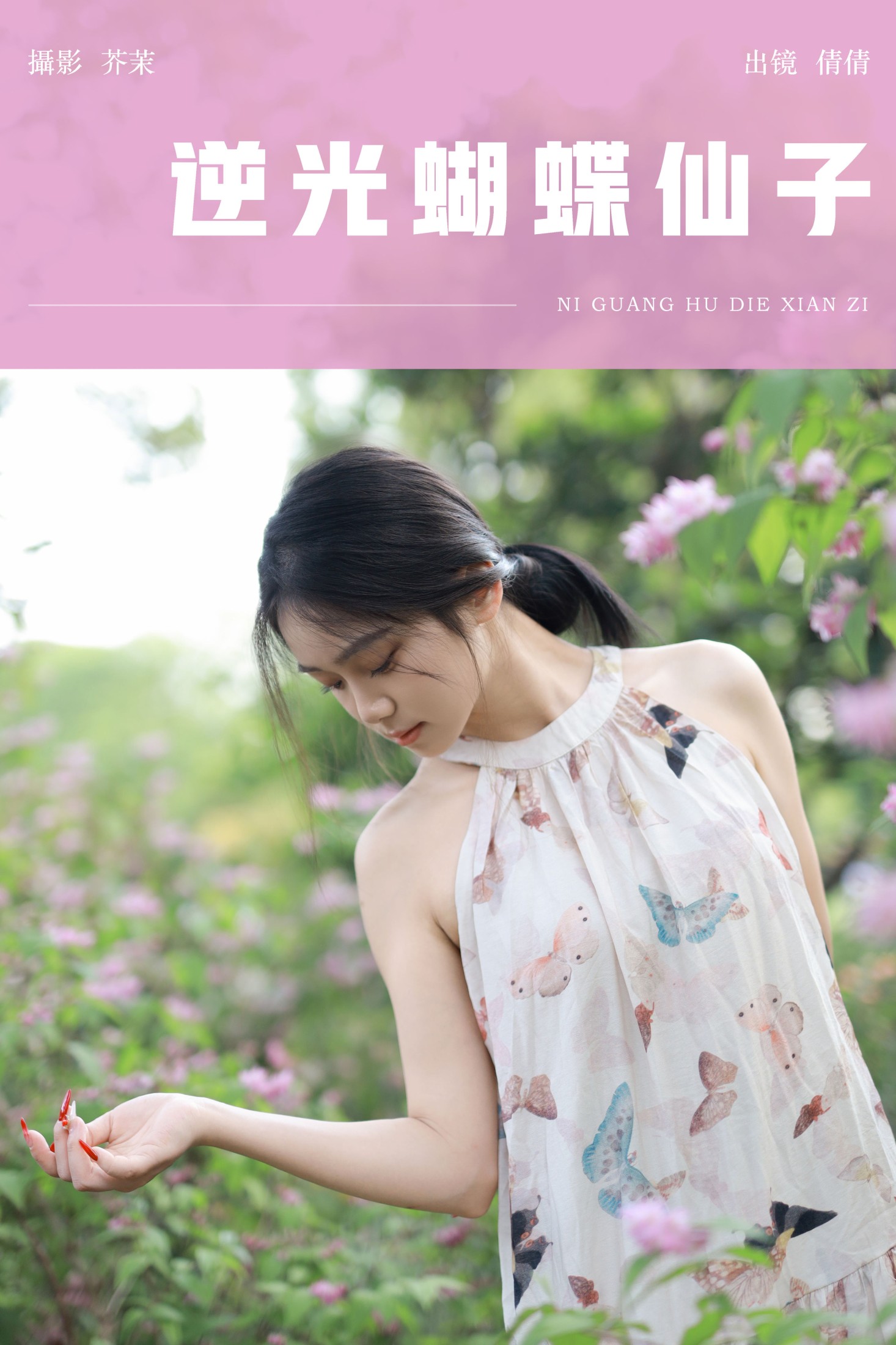 逆光蝴蝶仙子