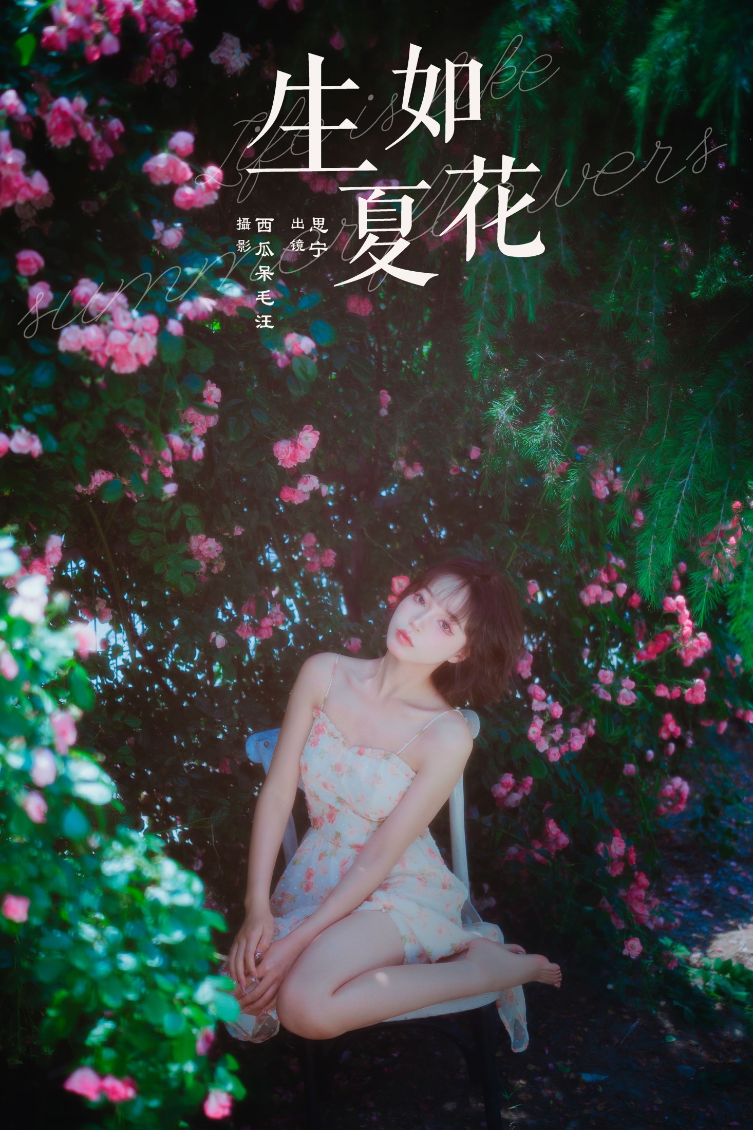 生如夏花