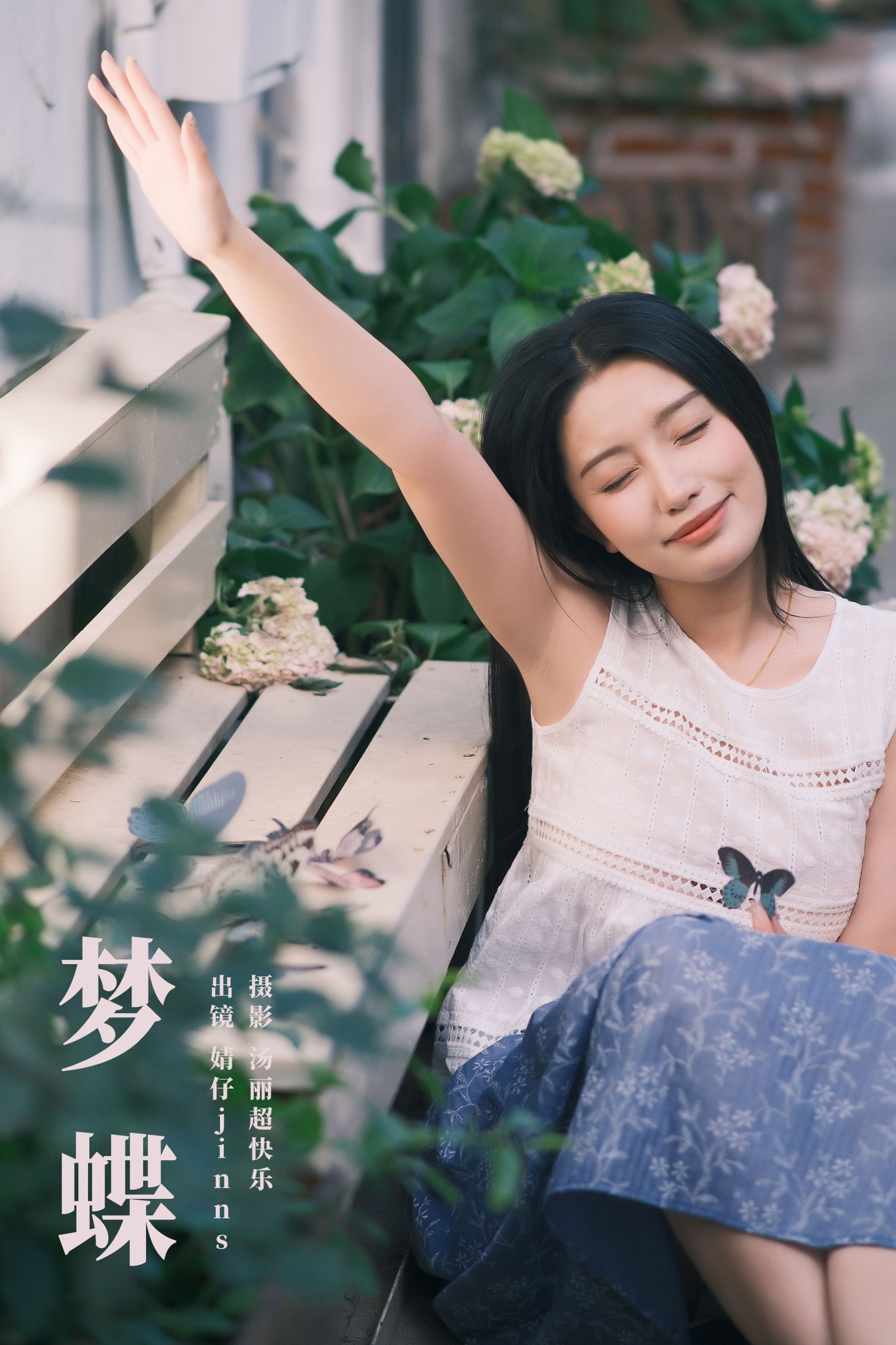 梦蝶