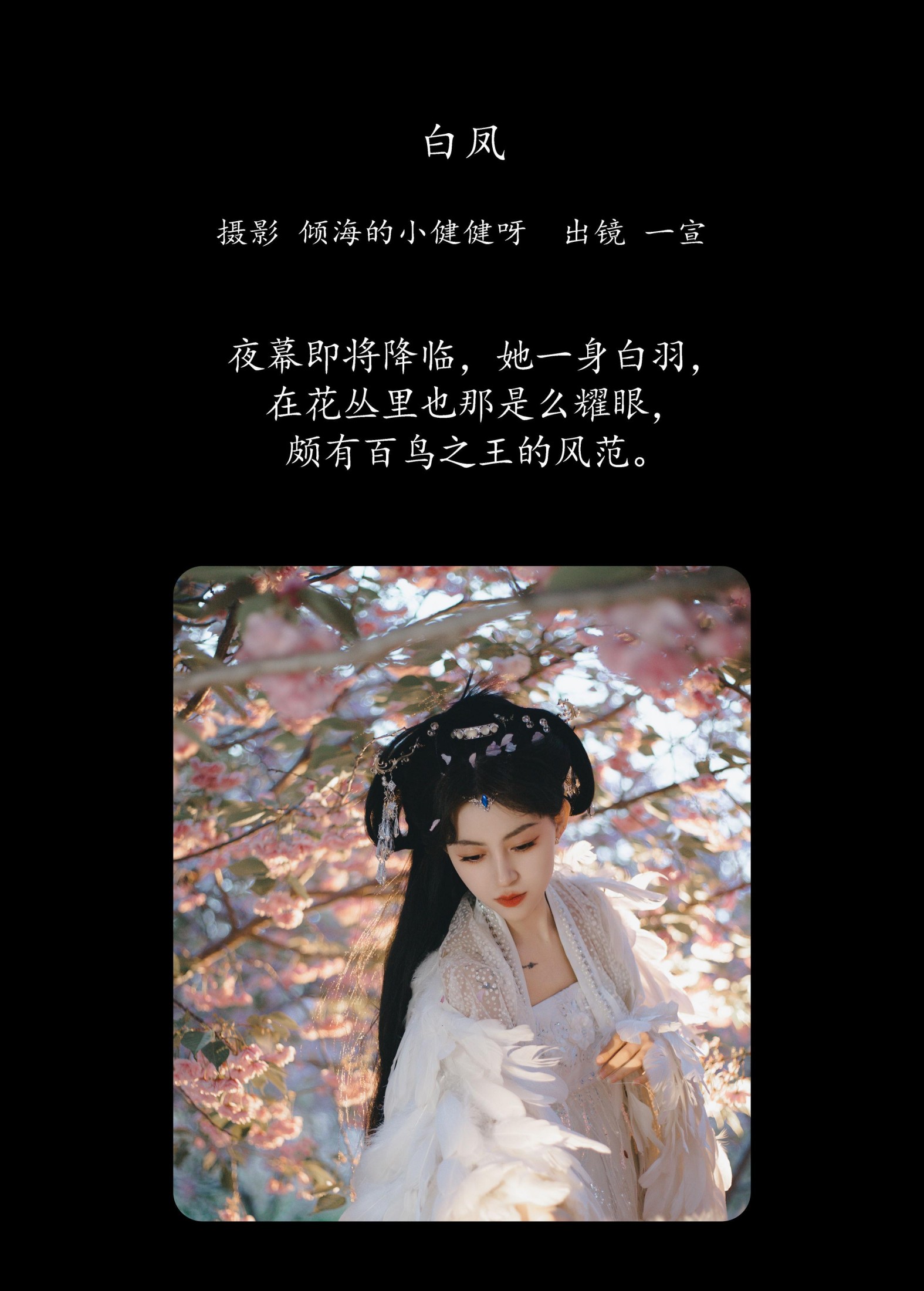 壹萱- – 《白凤》[36P]