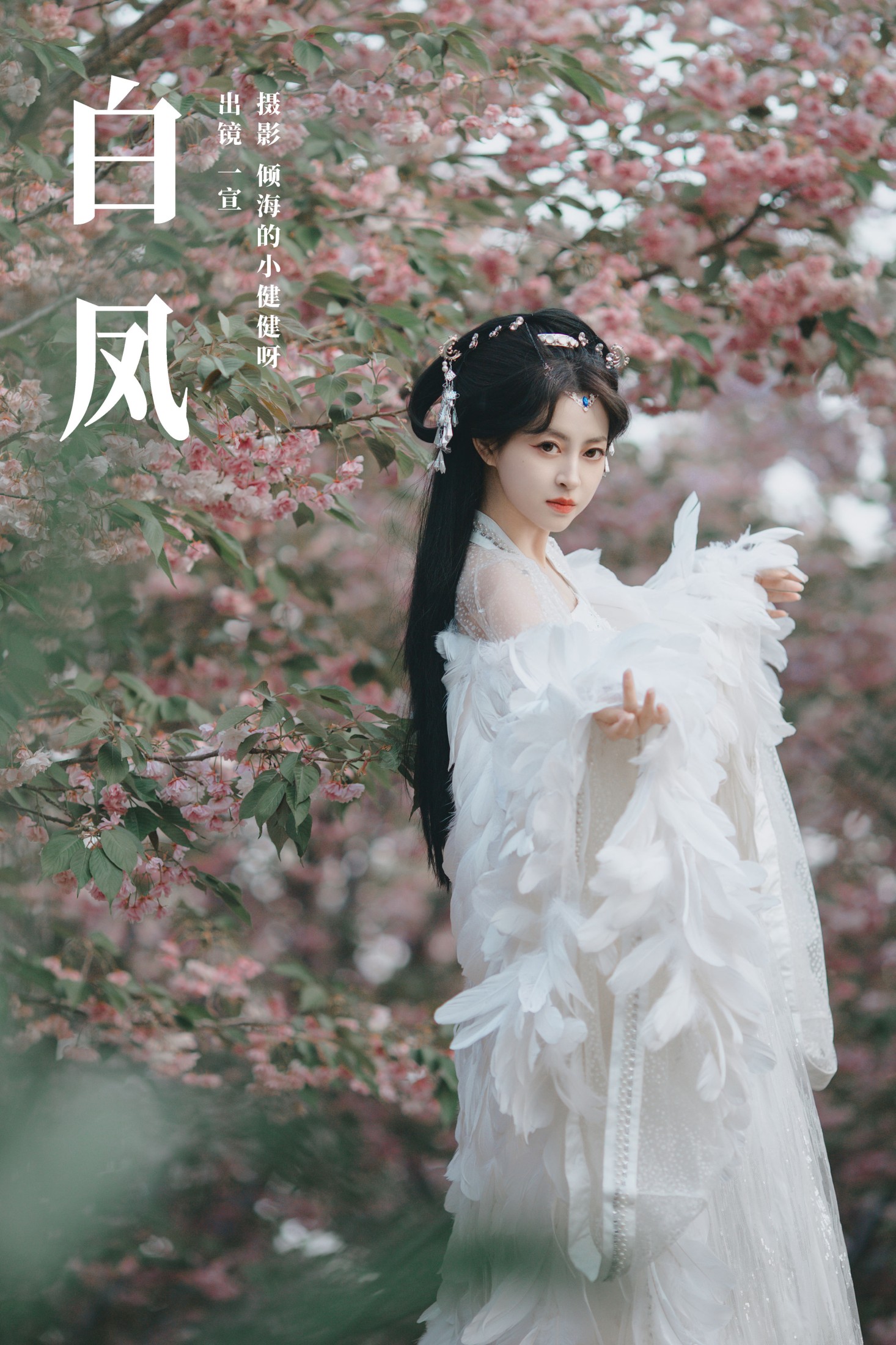 白凤
