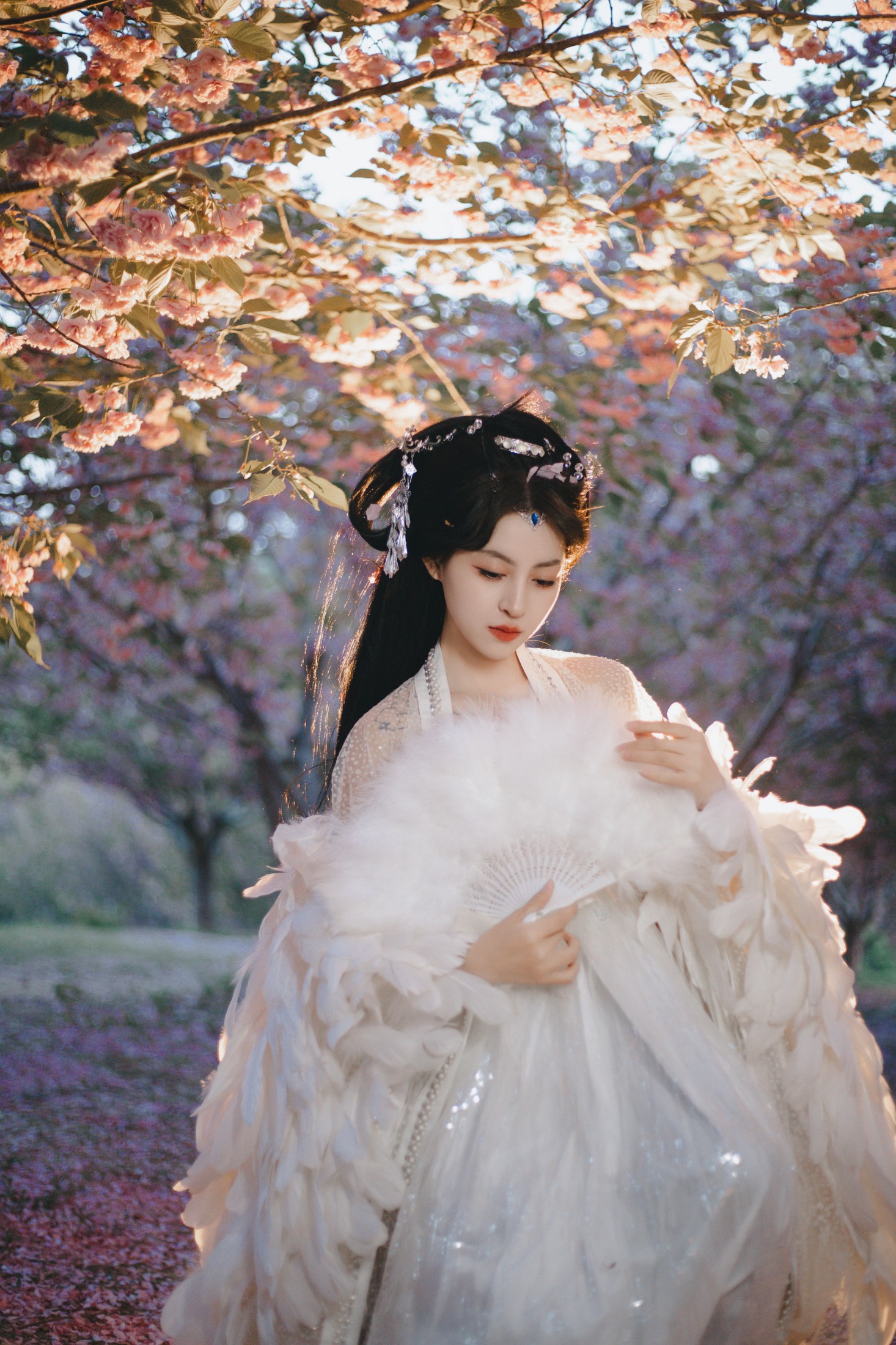 壹萱- – 《白凤》[36P]