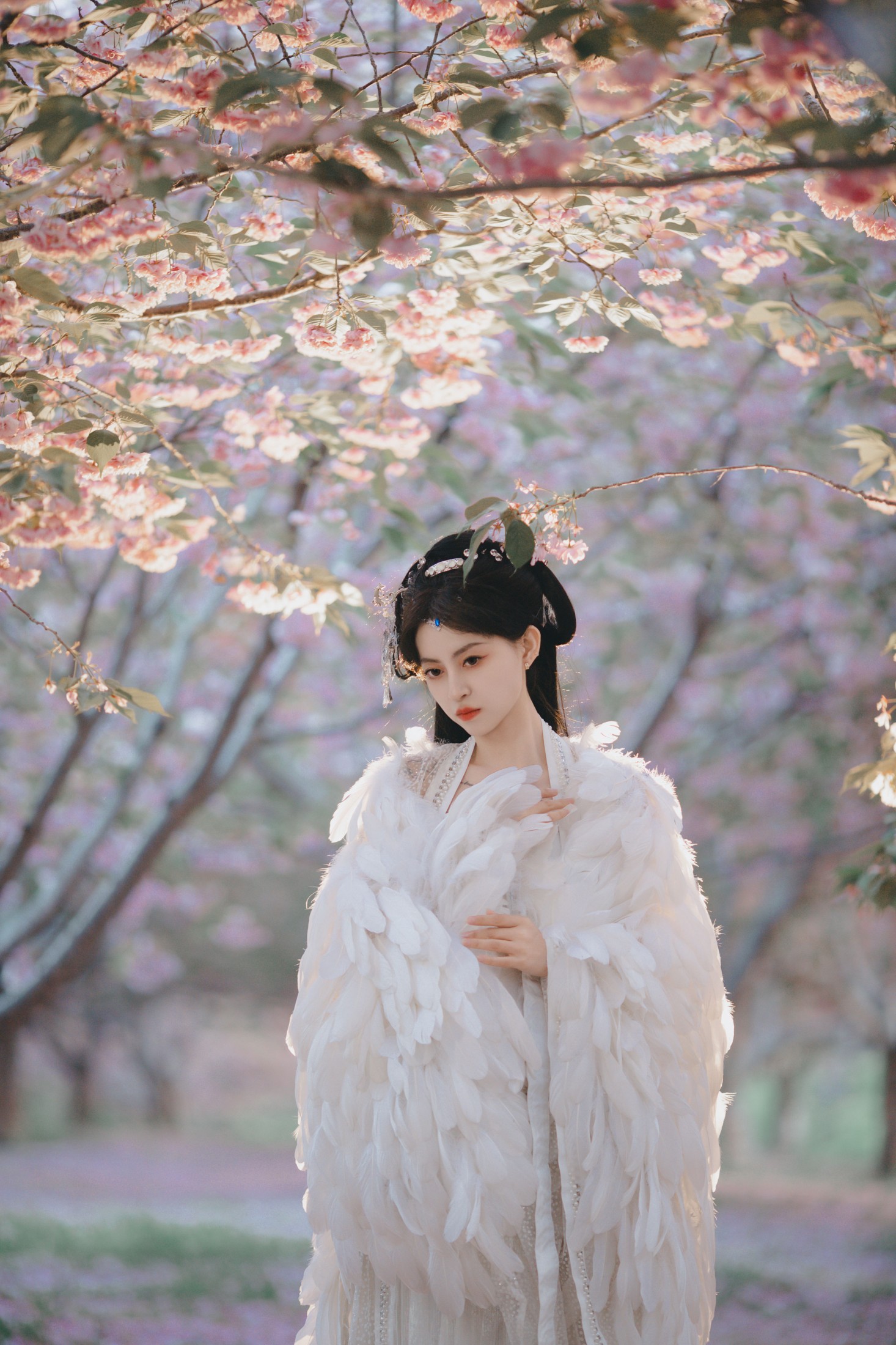 壹萱- – 《白凤》[36P]
