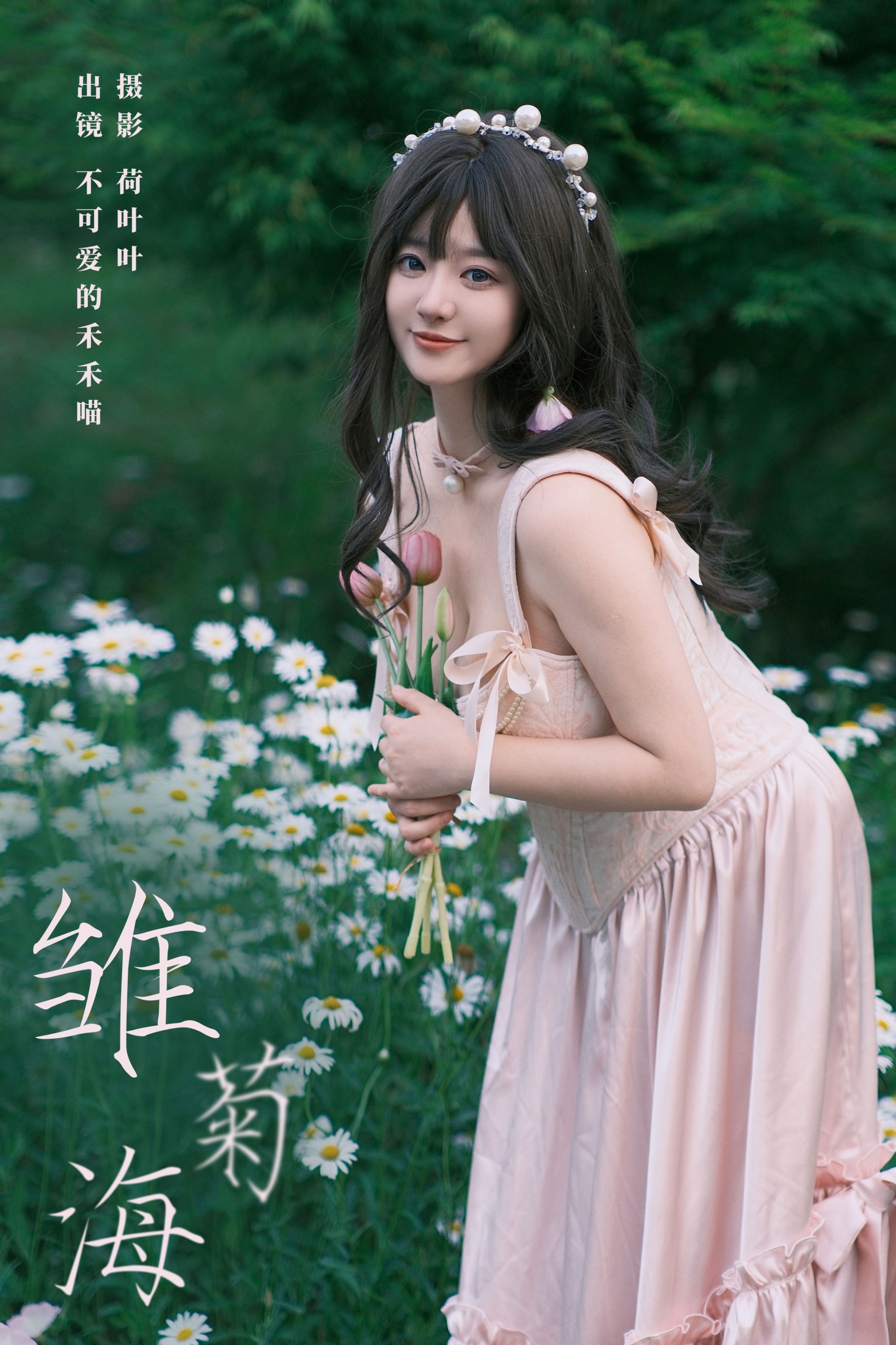 雏菊海