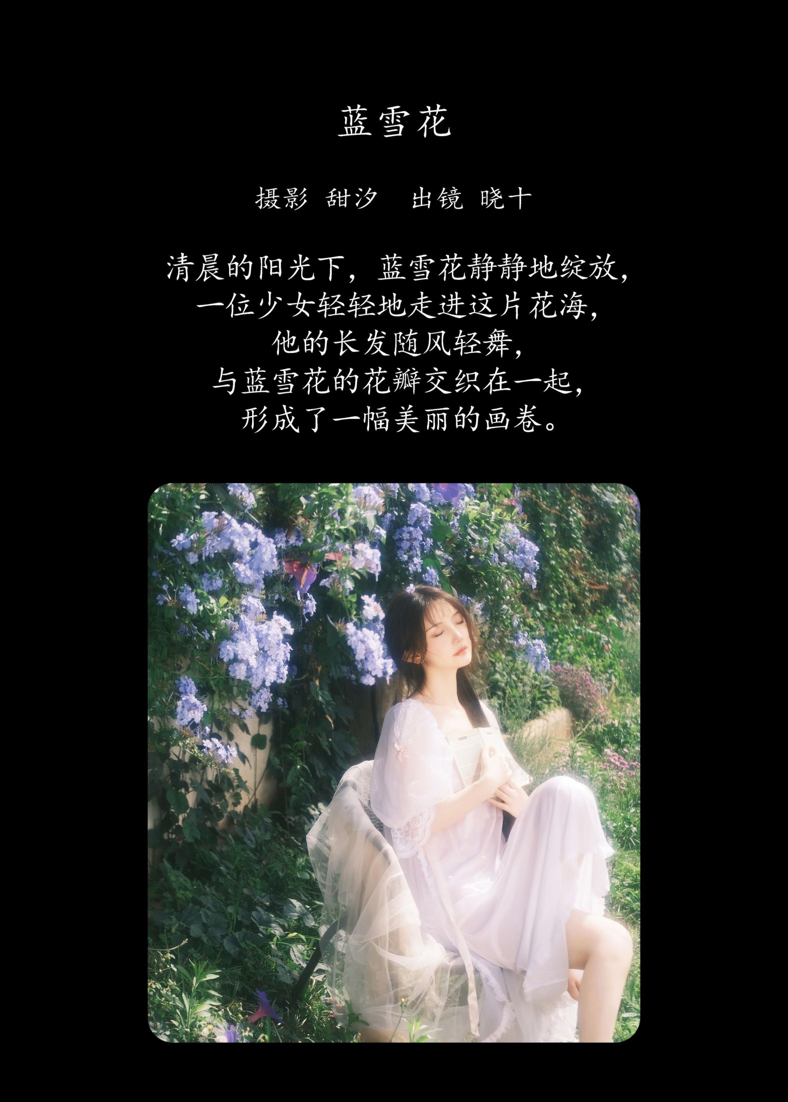 爱拍照的晓十 – 《蓝雪花》[20P]