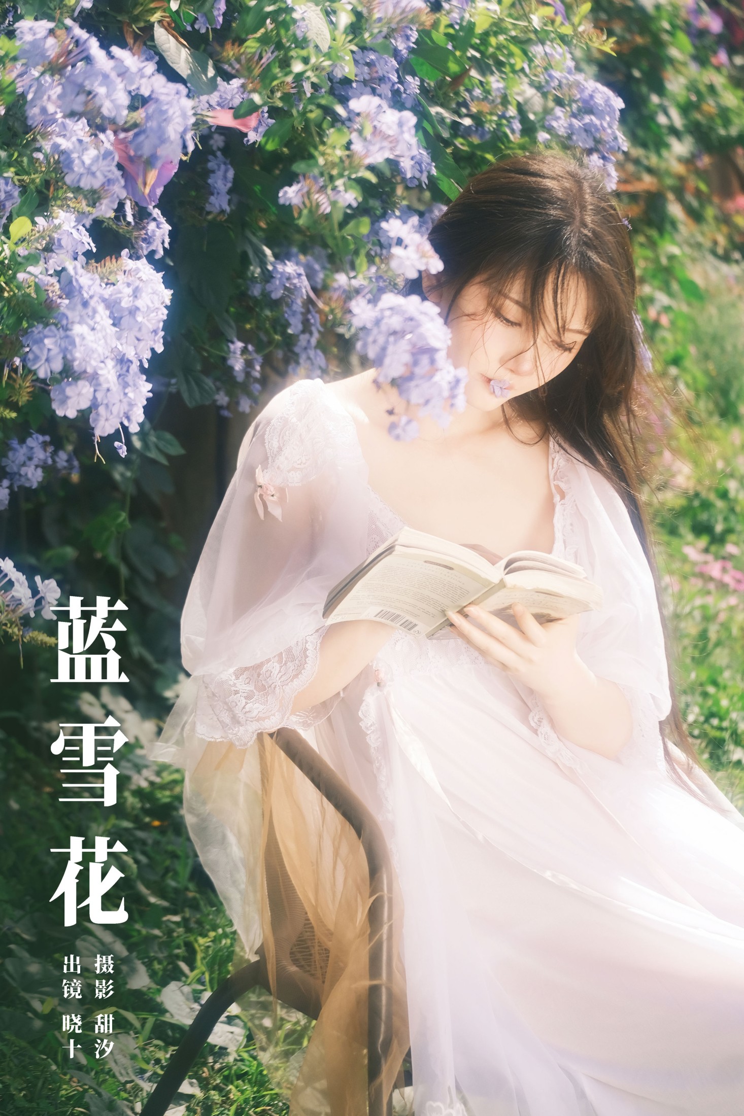 蓝雪花