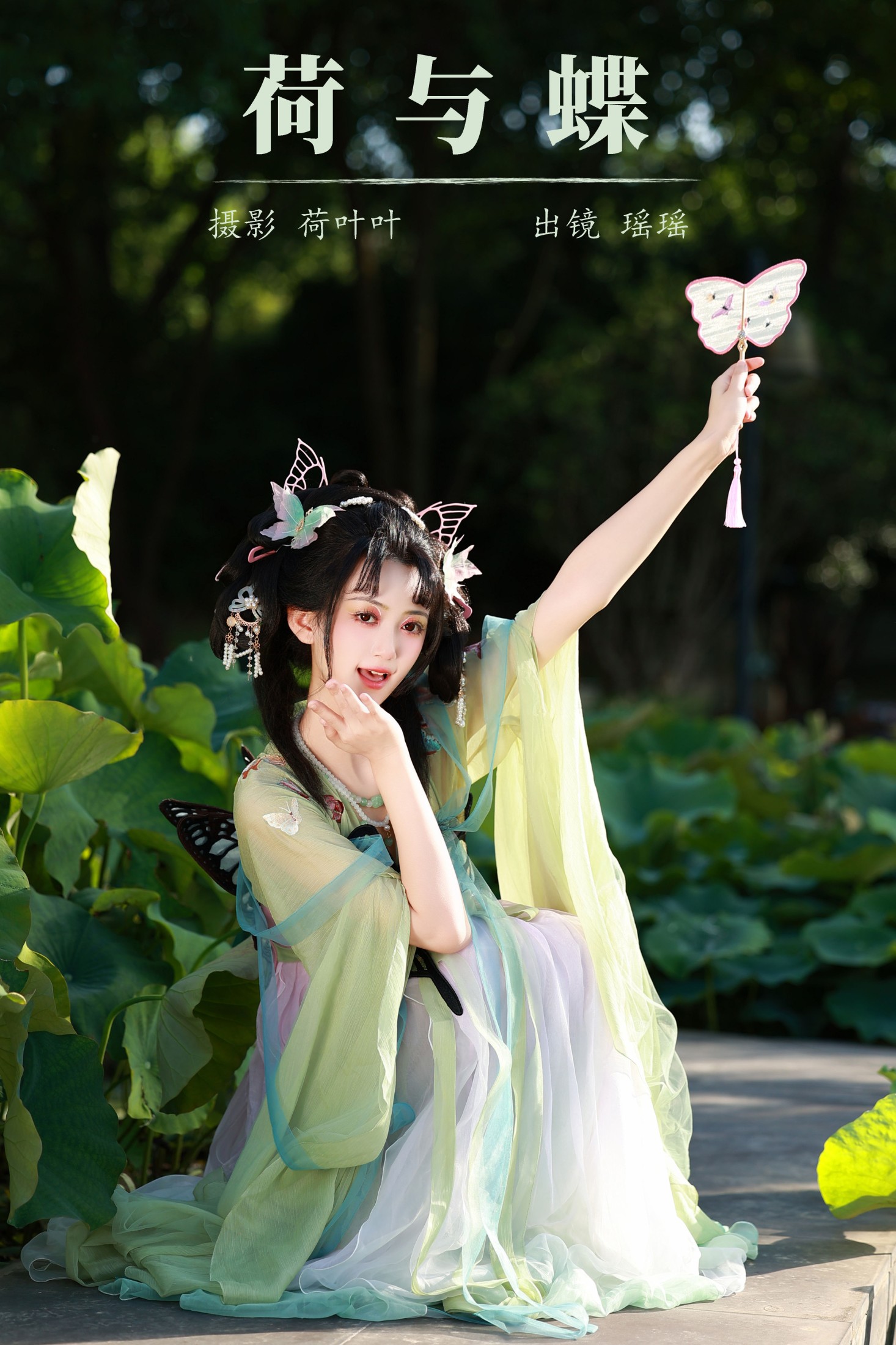 荷与蝶