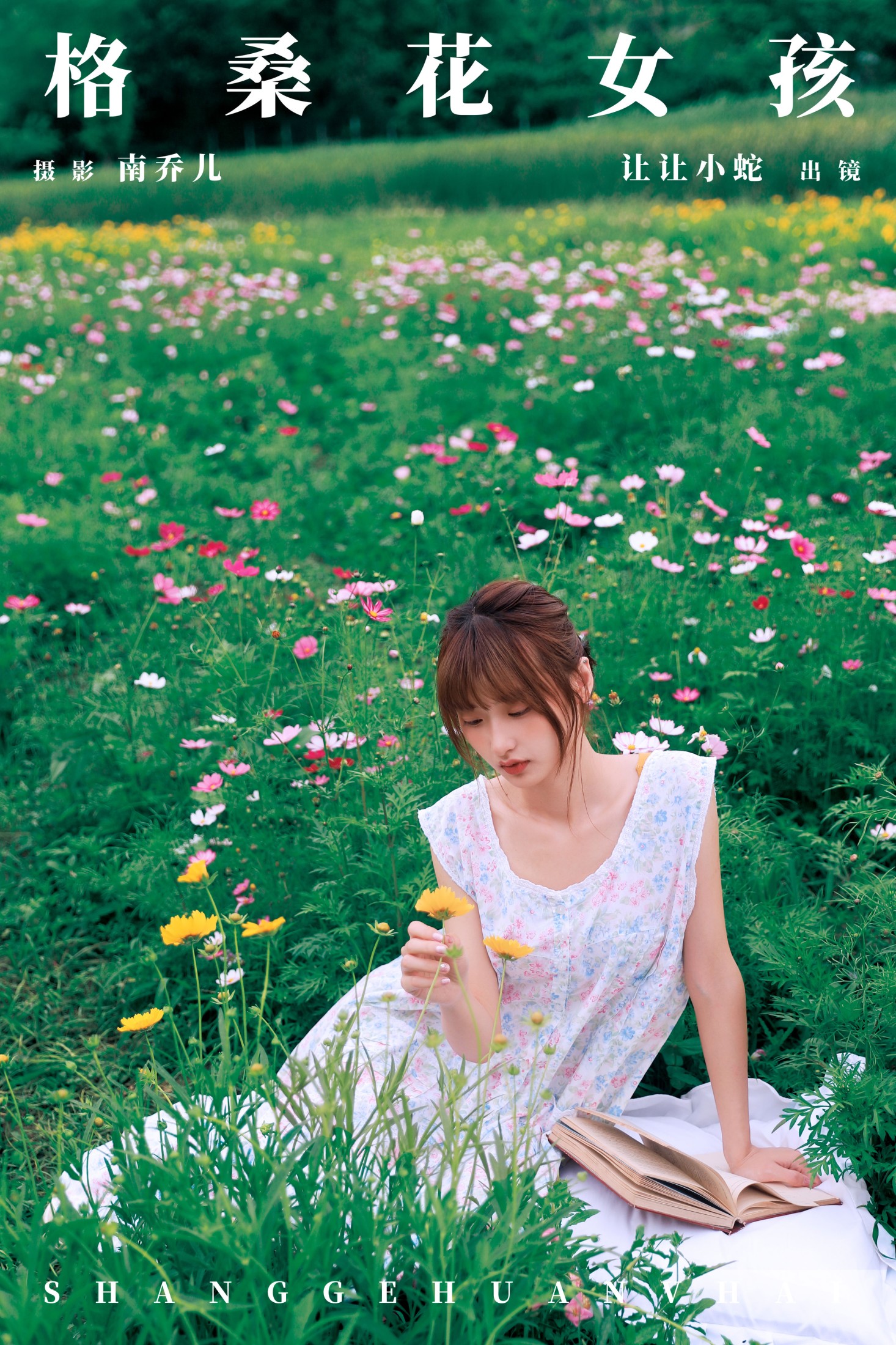 格桑花女孩