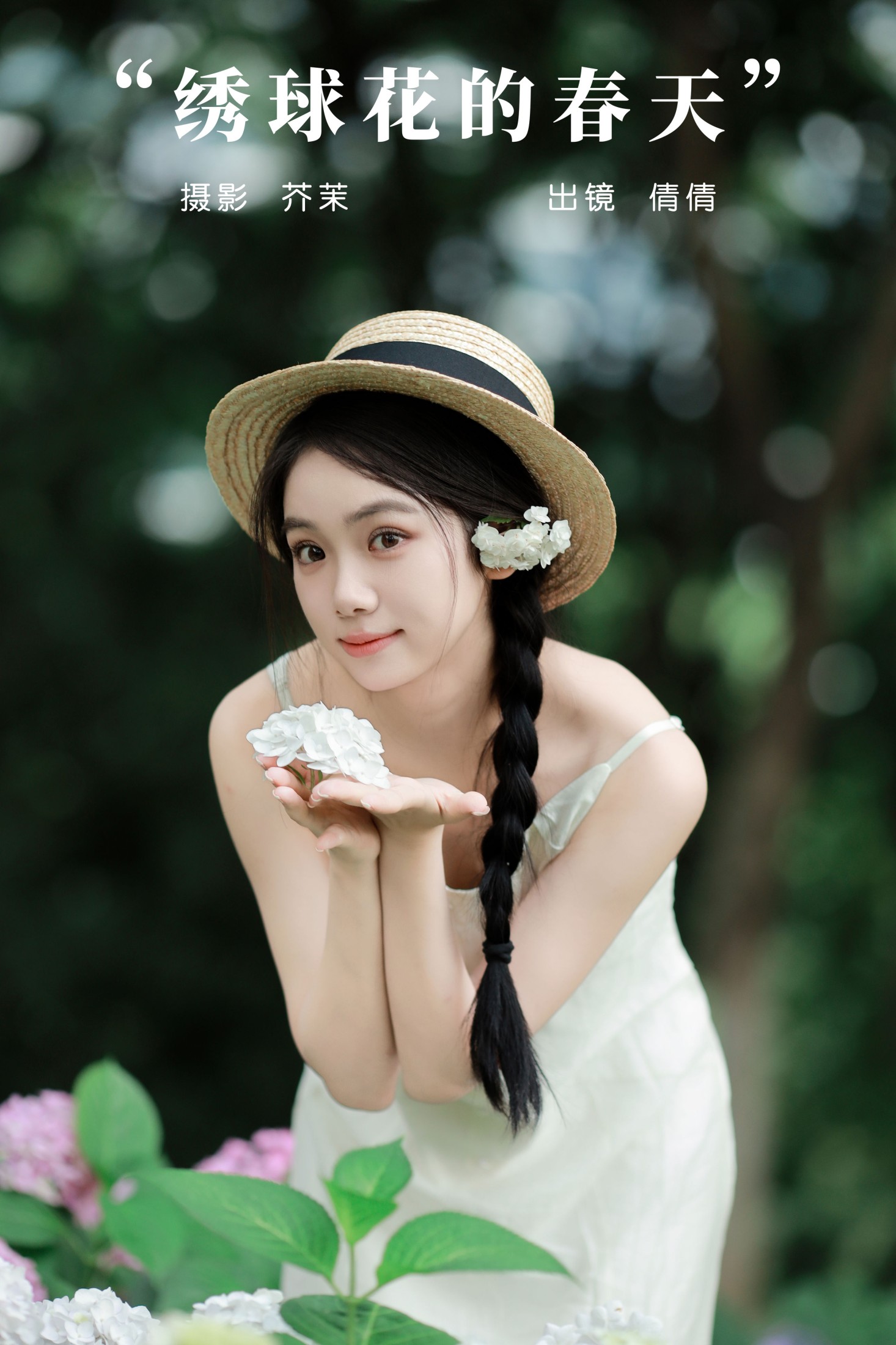绣球花的春天