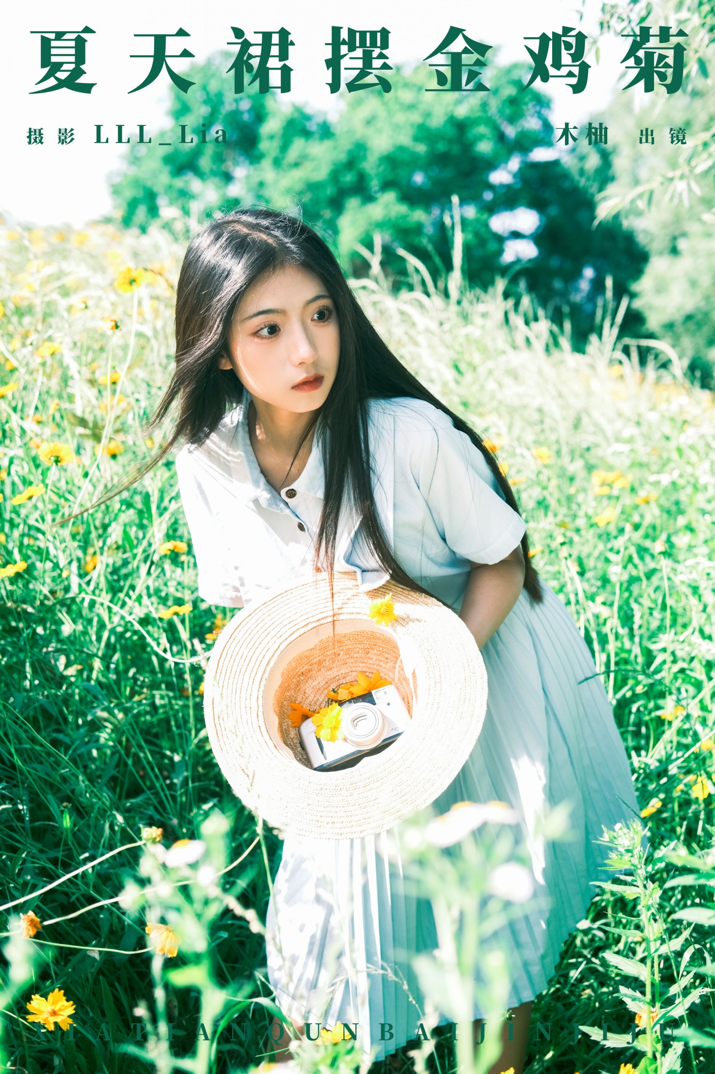夏天裙摆金鸡菊