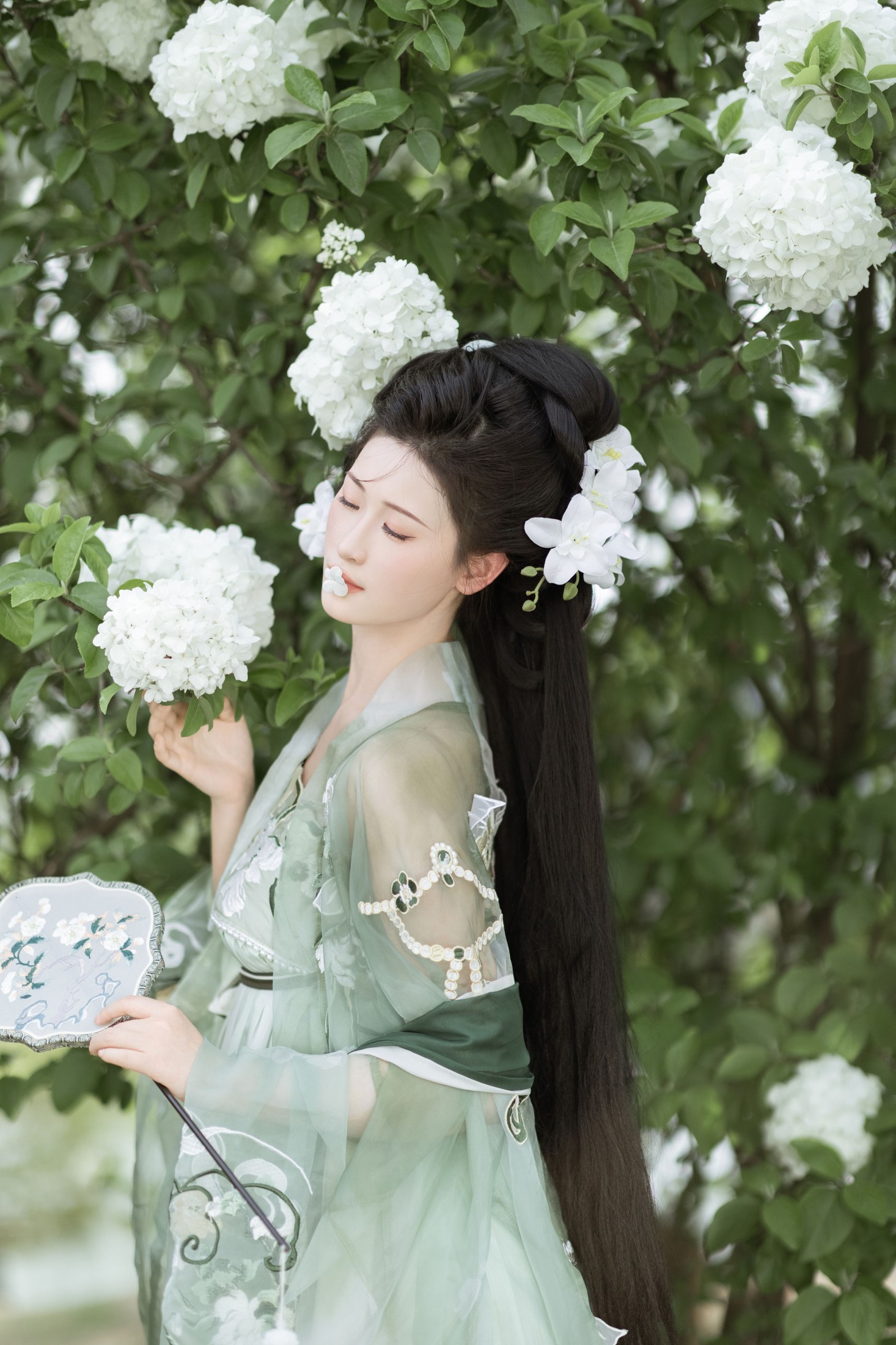 江月月月 – 《玉绣球花》[36P]