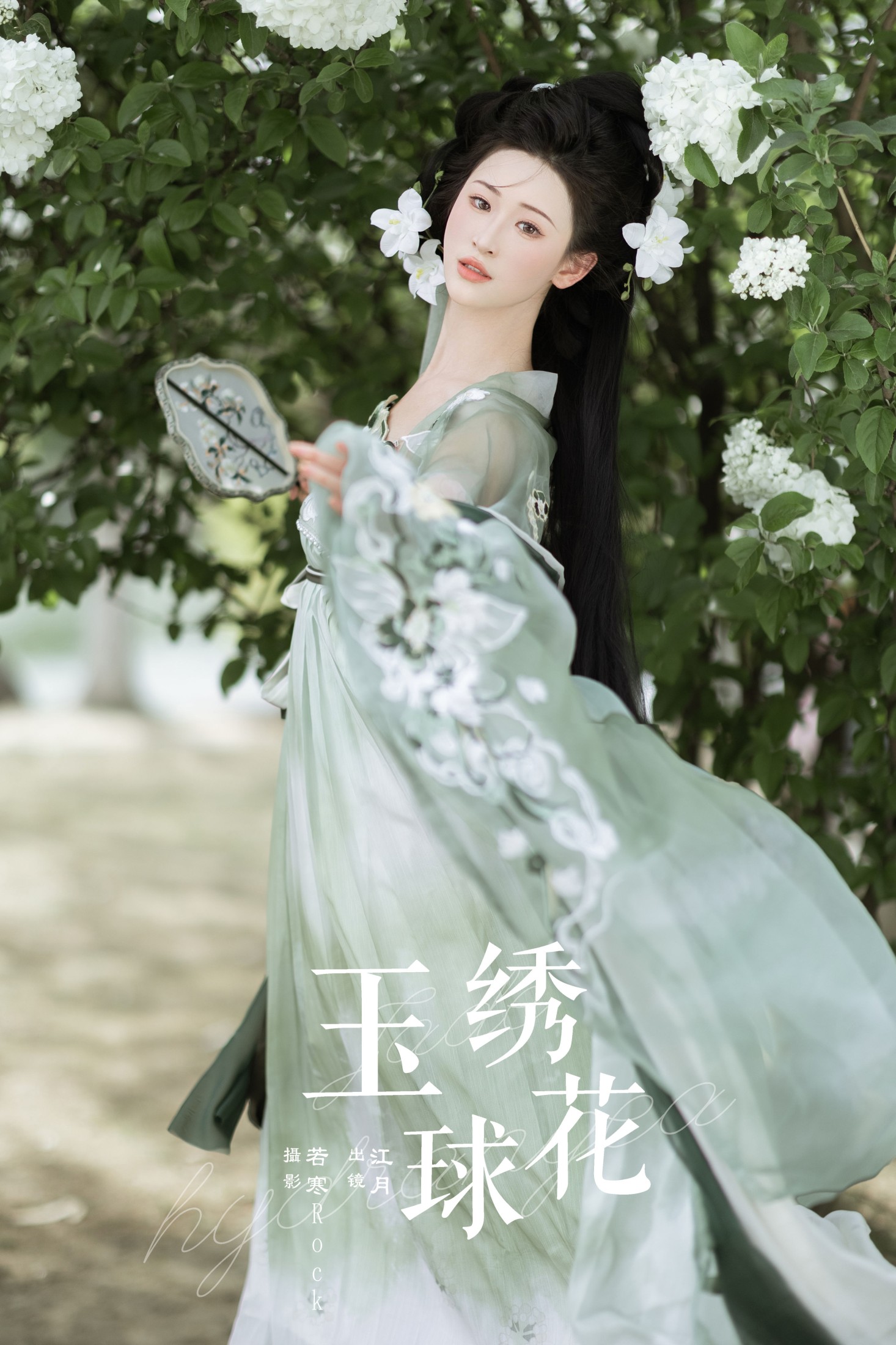 玉绣球花