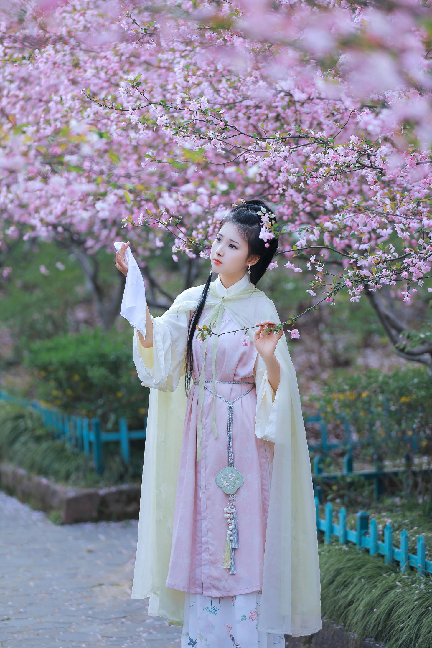 酒酿圆子 – 《葬花吟》[25P]