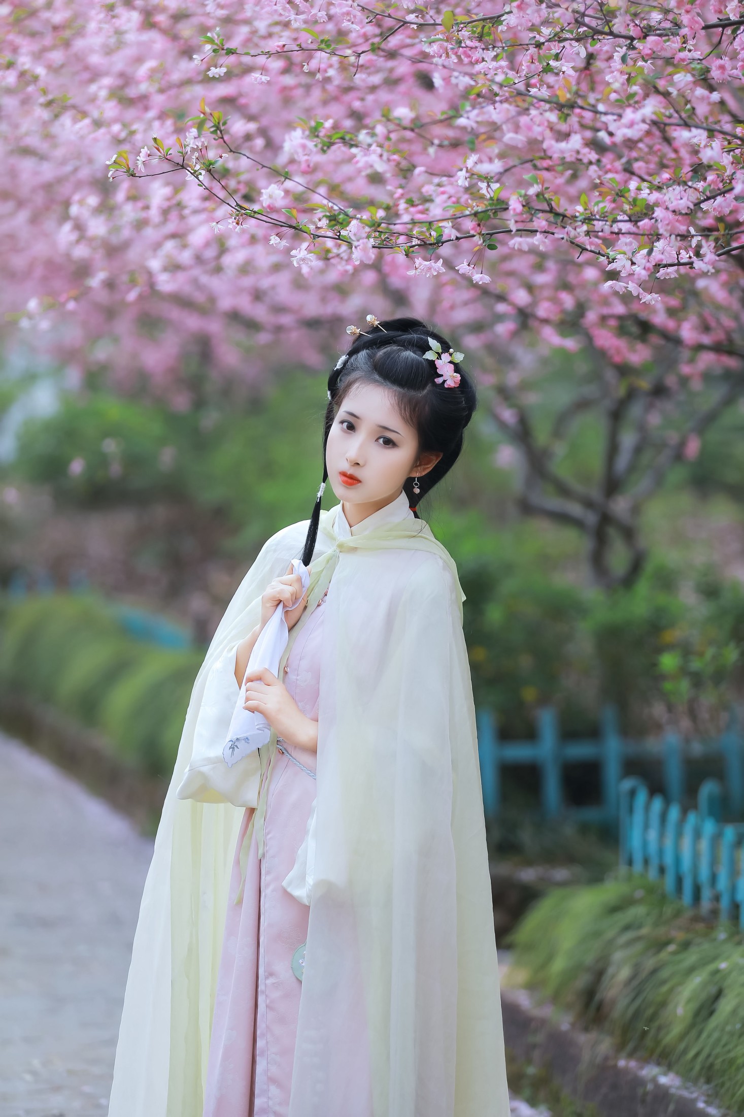 酒酿圆子 – 《葬花吟》[25P]