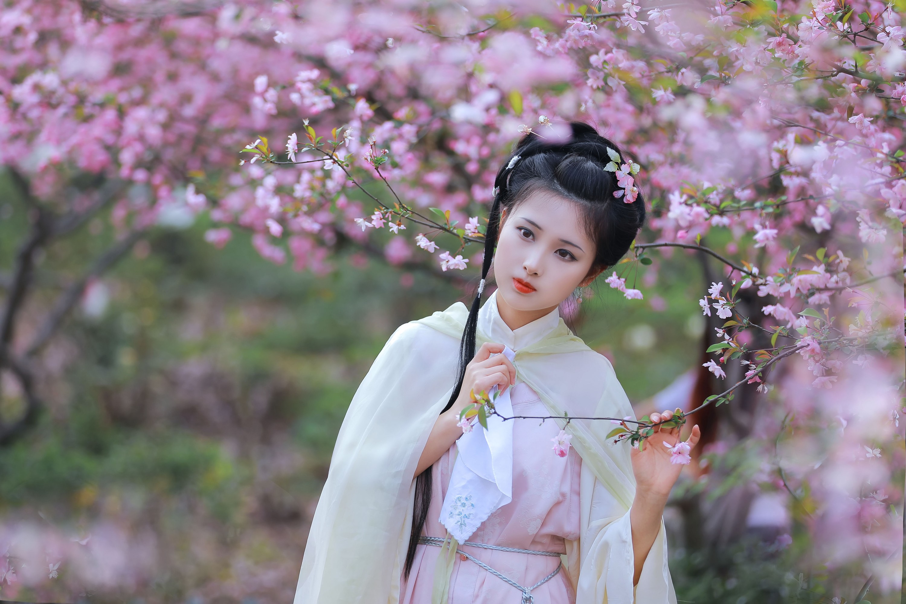 酒酿圆子 – 《葬花吟》[25P]