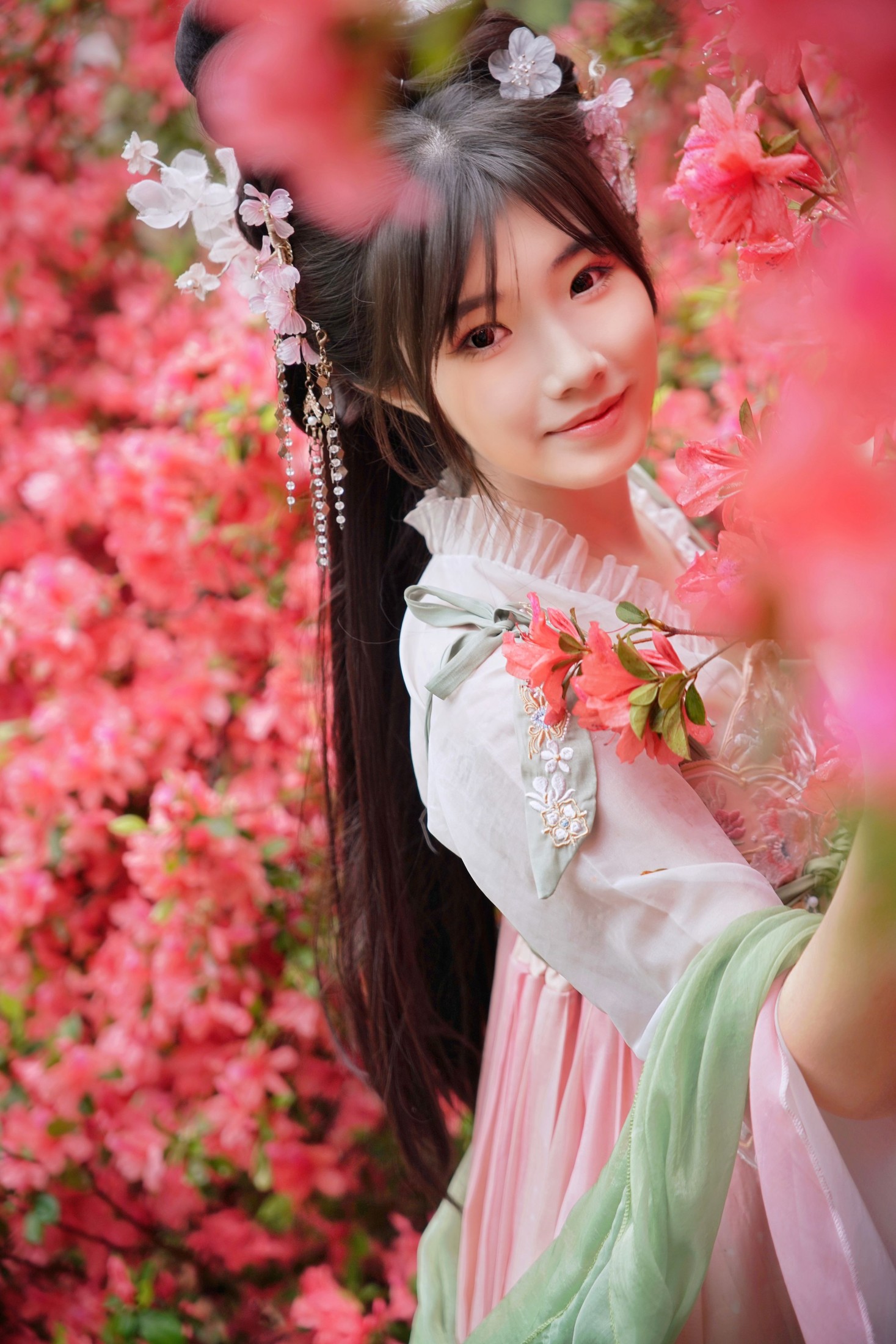 小柒 – 《杜鹃盛放的粉黛伊人》[22P]