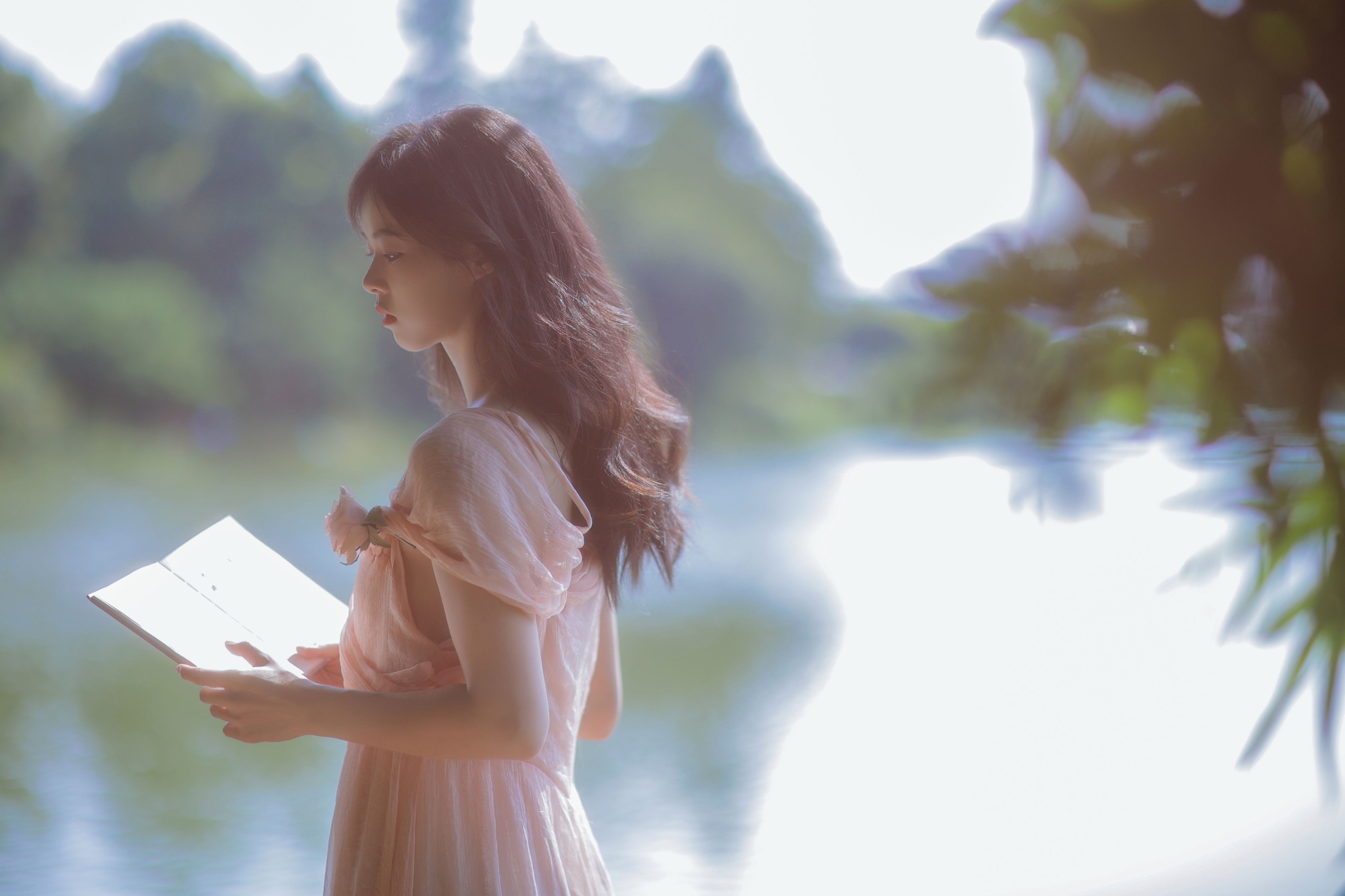 小羊 – 《绯夏》[26P]