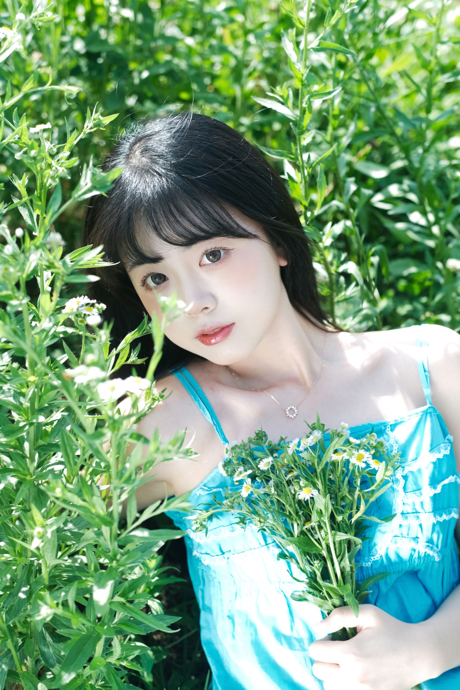 一只暖暖 – 《雏菊少女》[25P]