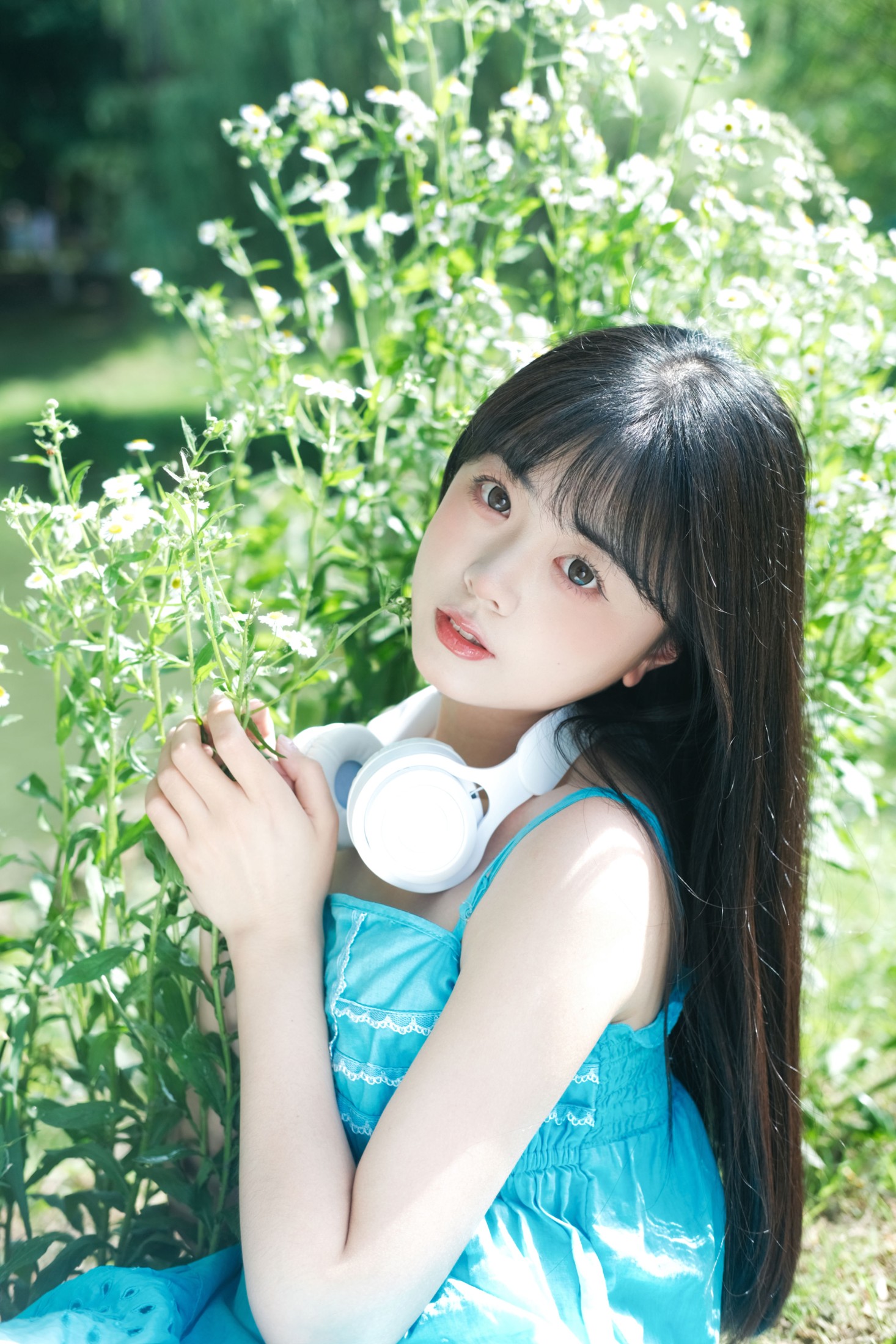 一只暖暖 – 《雏菊少女》[25P]