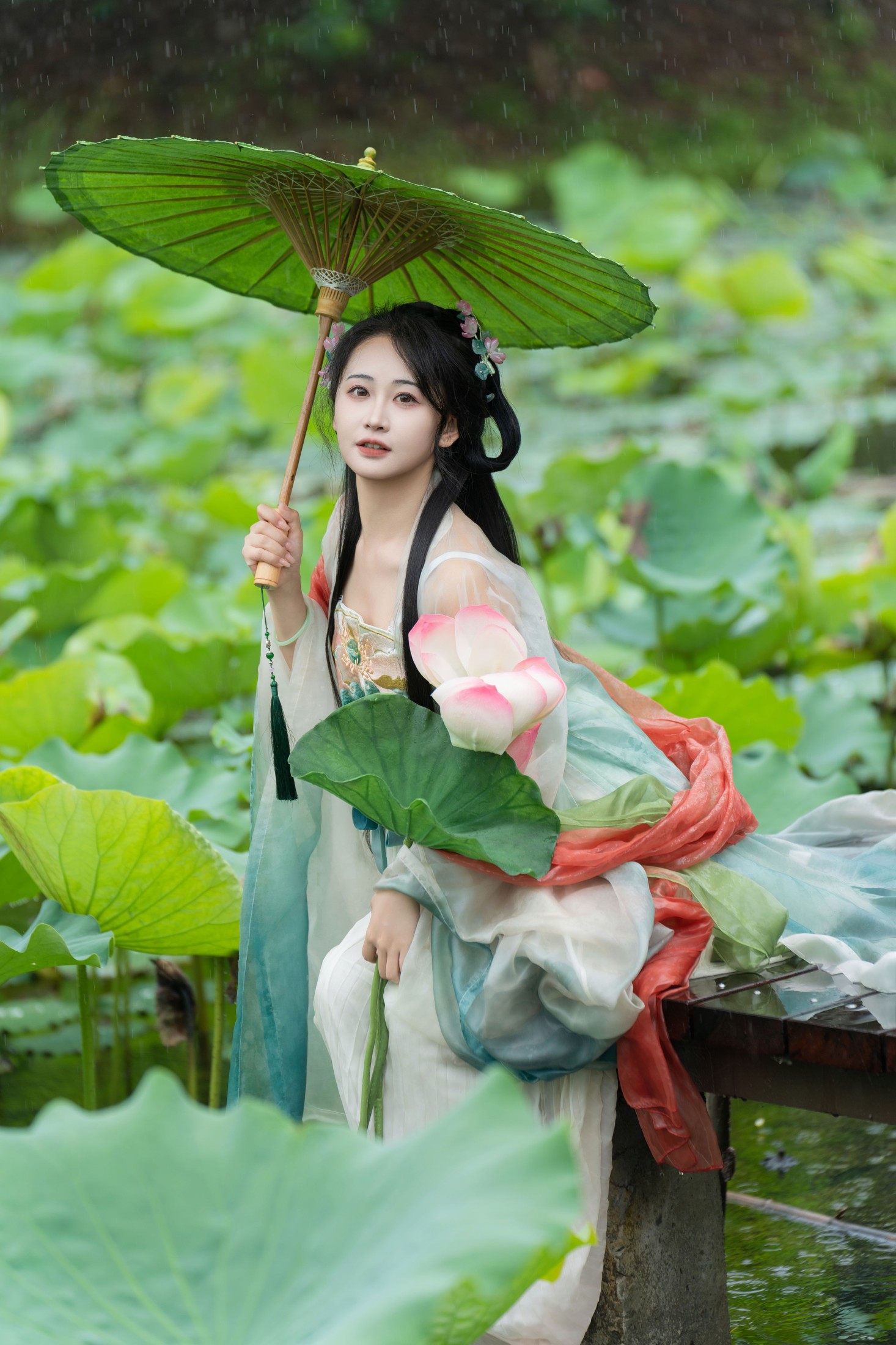 湫一只岁岁 – 《雨中荷花》[24P]