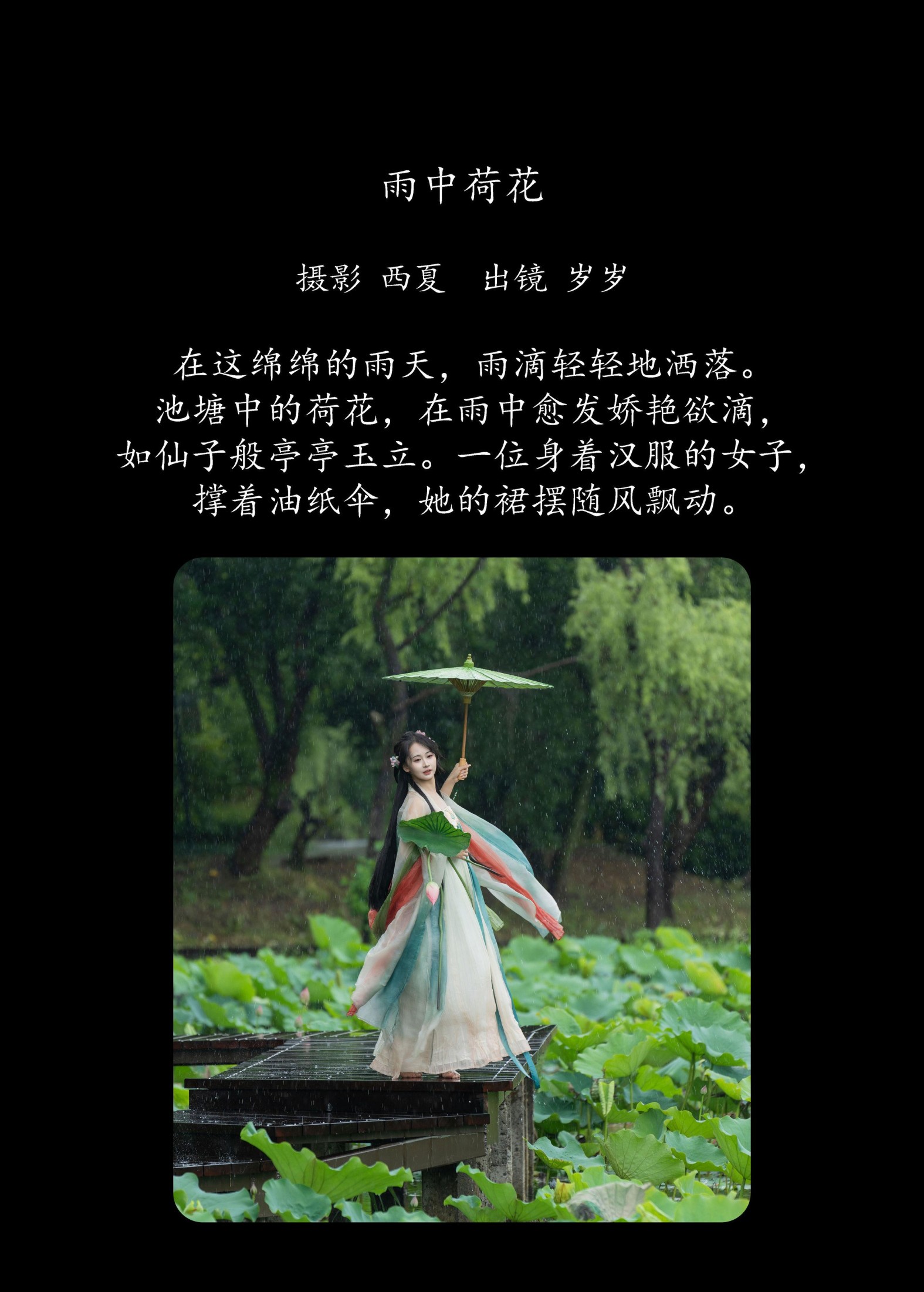 湫一只岁岁 – 《雨中荷花》[24P]