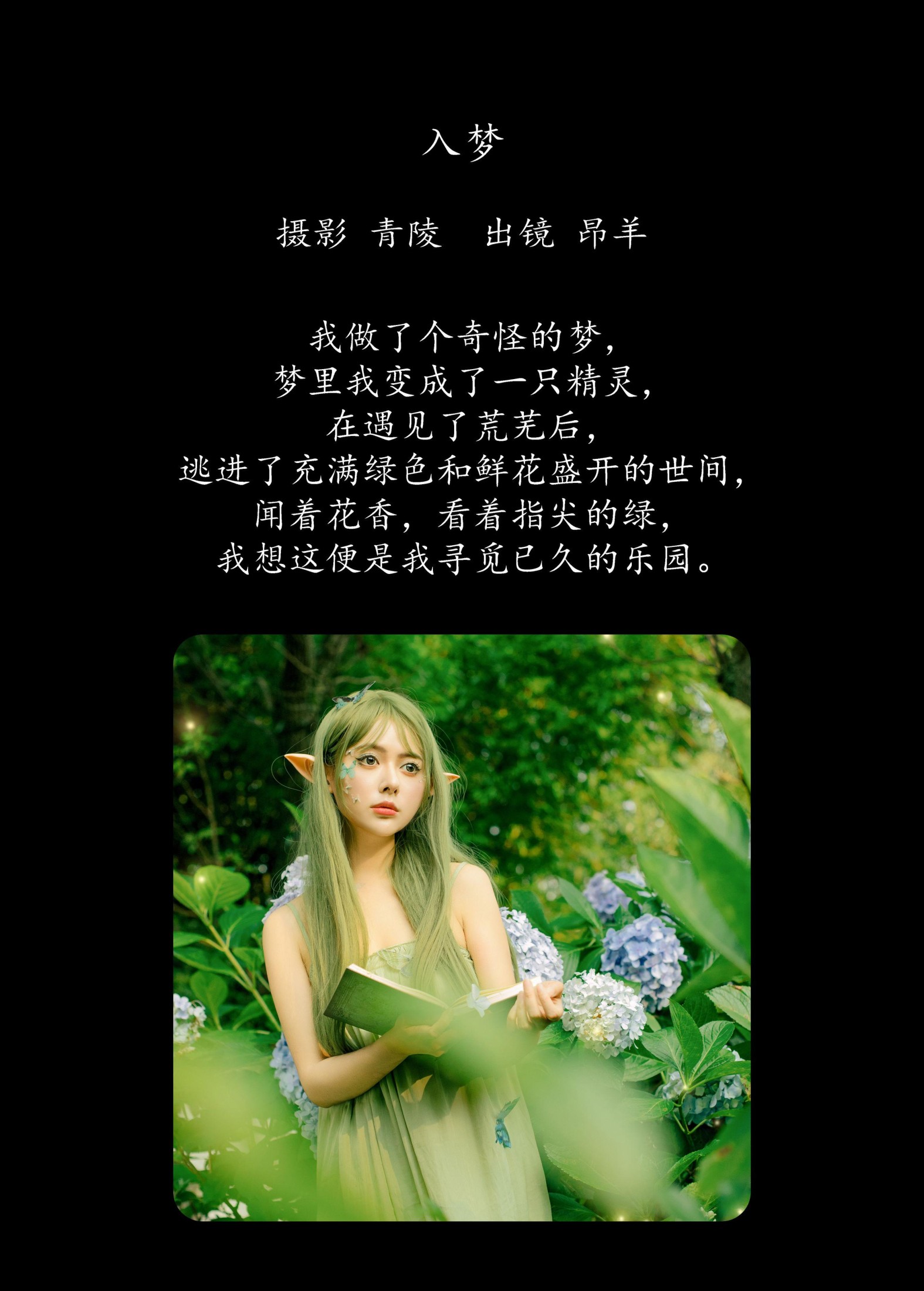 是昂羊呀 – 《入梦》[53P]
