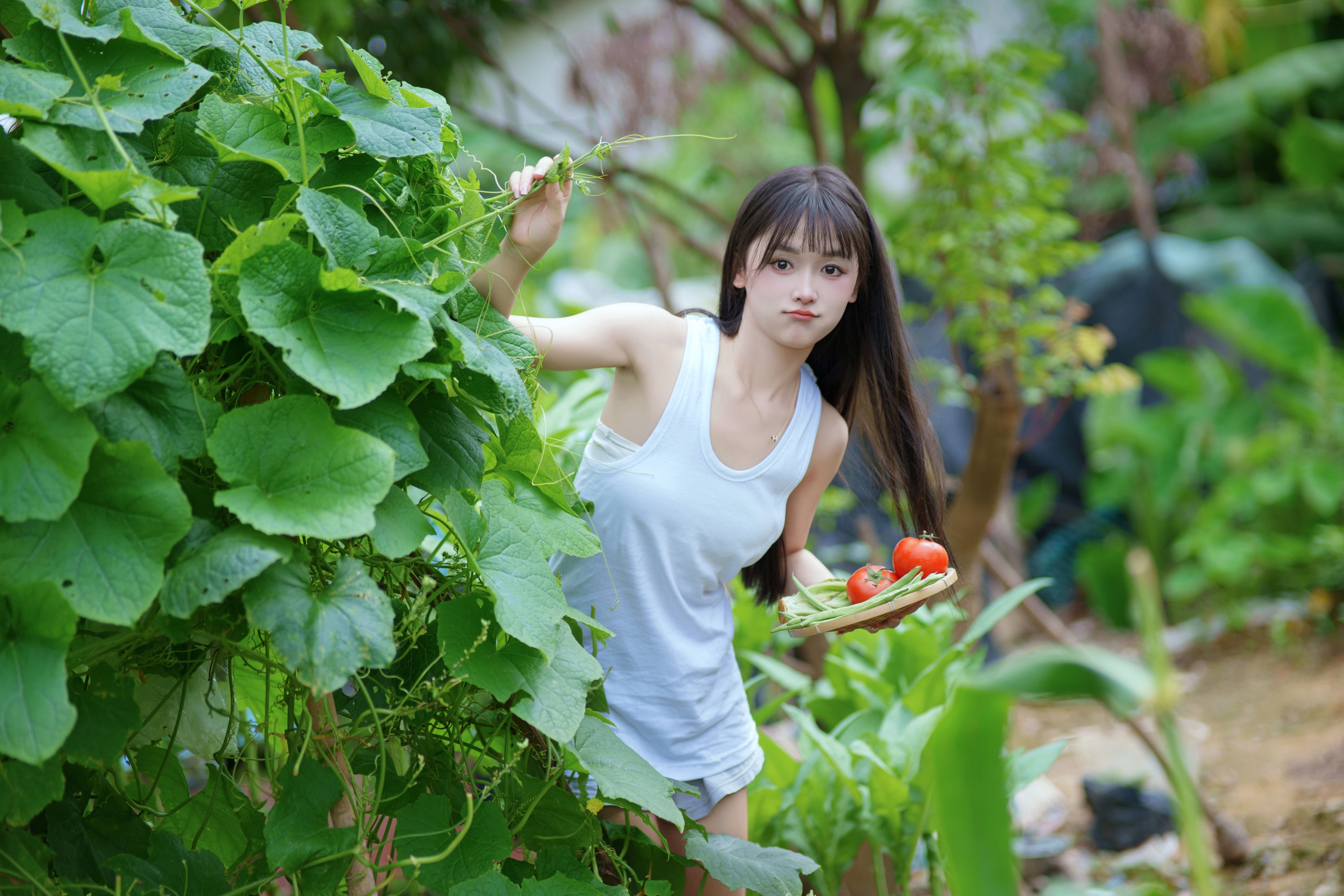 小小雨 – 《西瓜味的夏天》[51P]