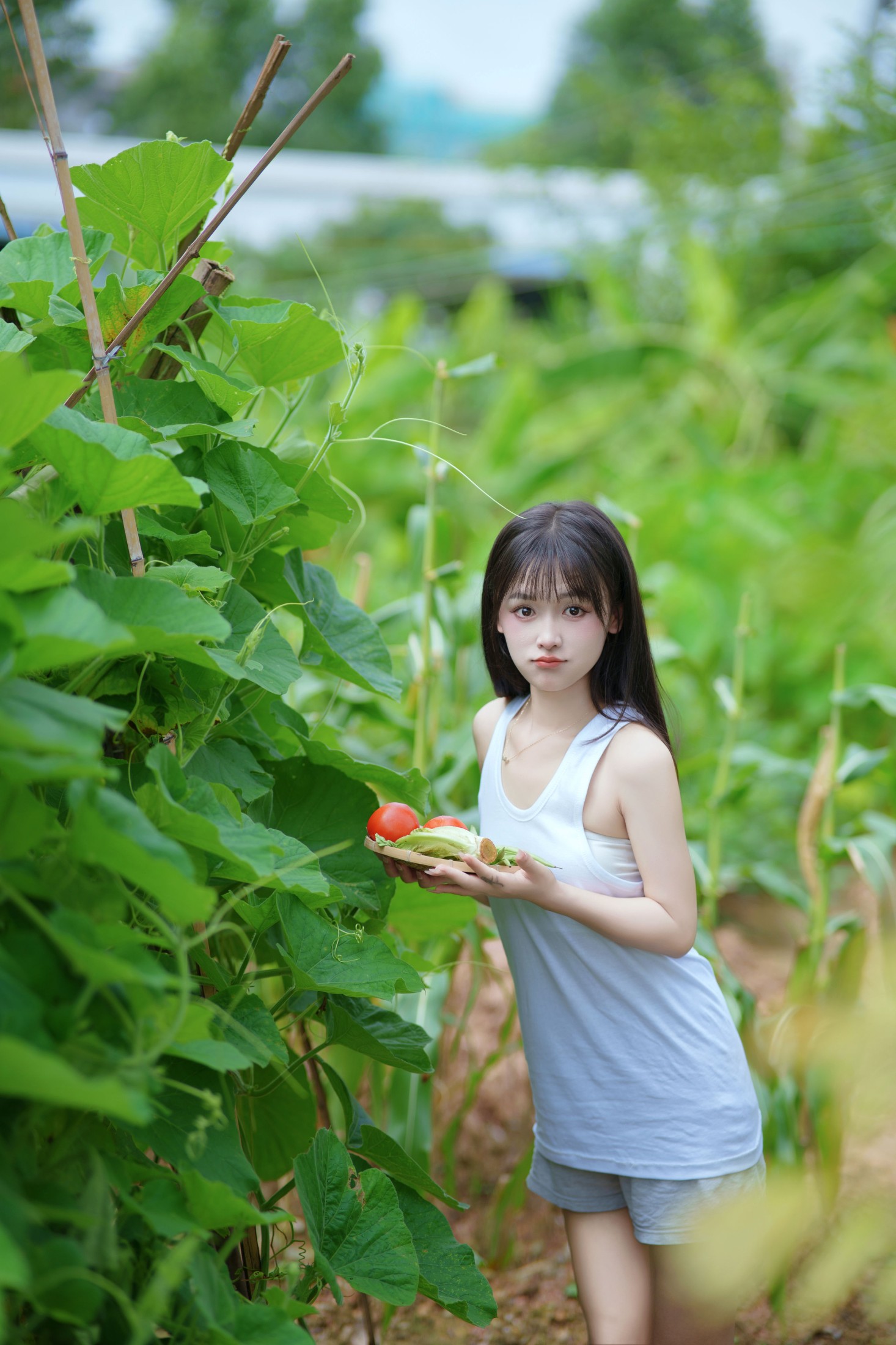 小小雨 – 《西瓜味的夏天》[51P]