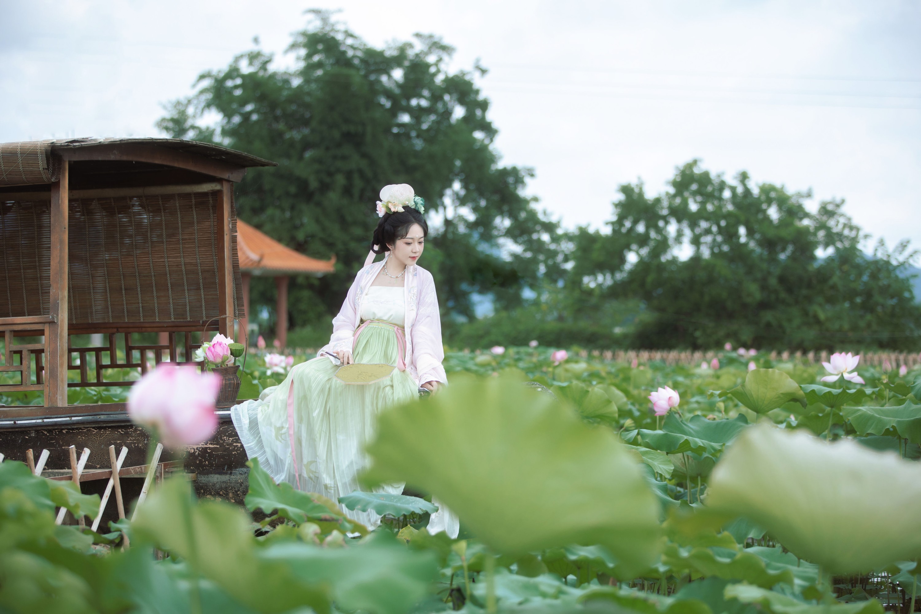 沉诗思 – 《采莲曲》[25P]