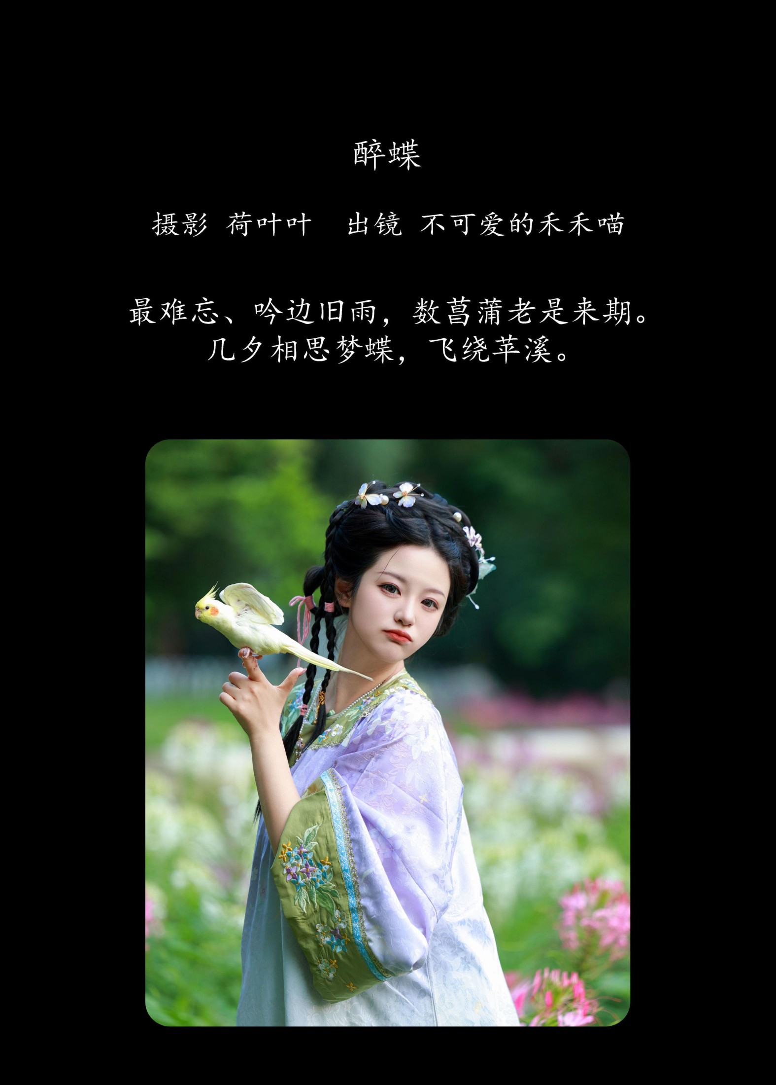 不可爱的禾禾喵 – 《醉蝶》[28P]