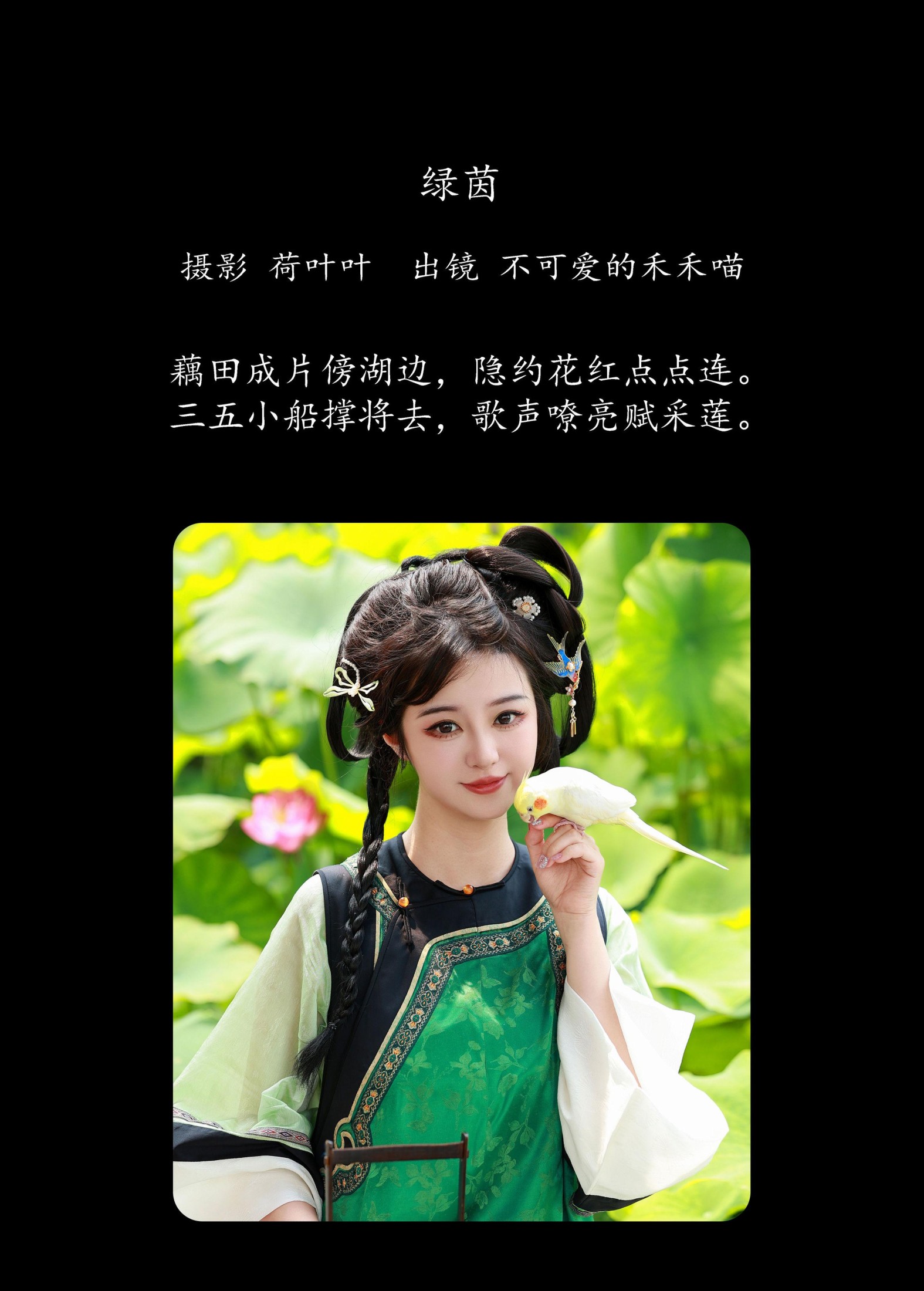 不可爱的禾禾喵 – 《绿茵》[52P]