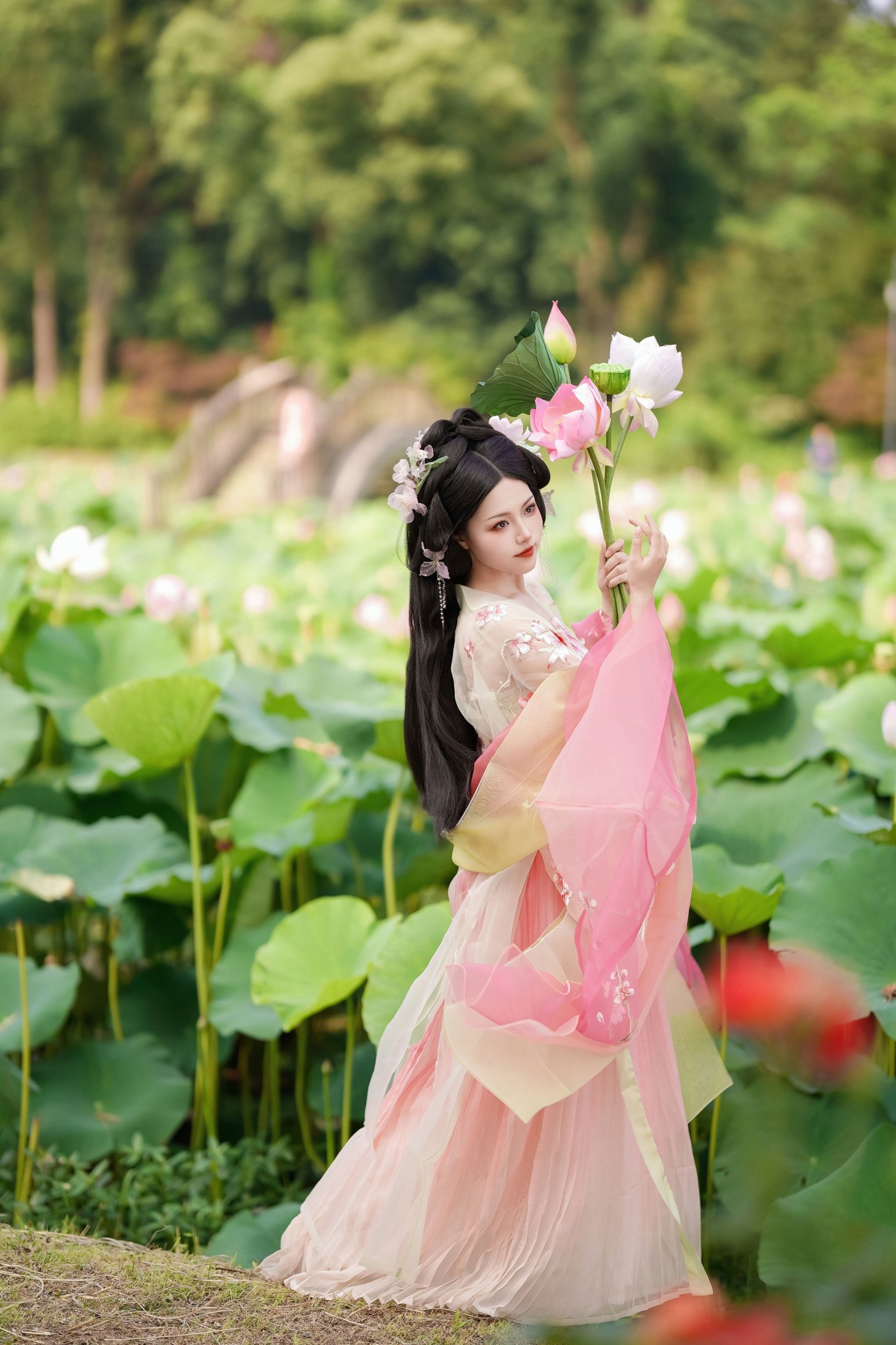 魚小鯉lili – 《误入藕花深处》[22P]