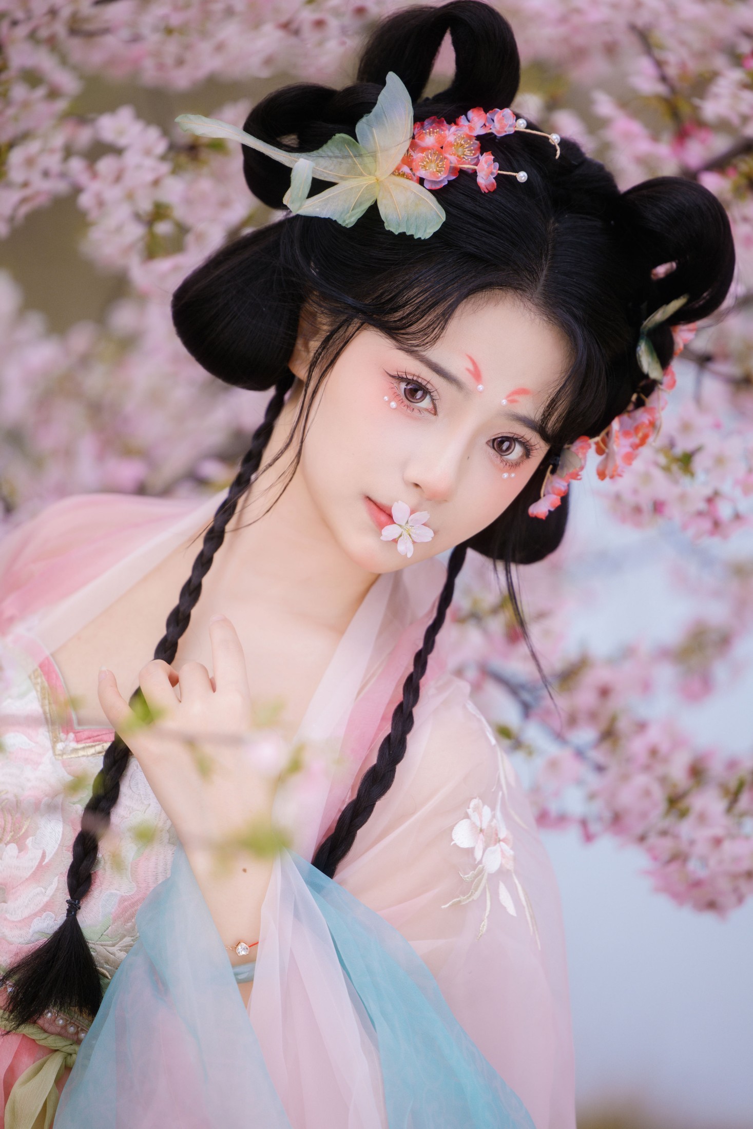 衔鹿 – 《赏樱》[30P]