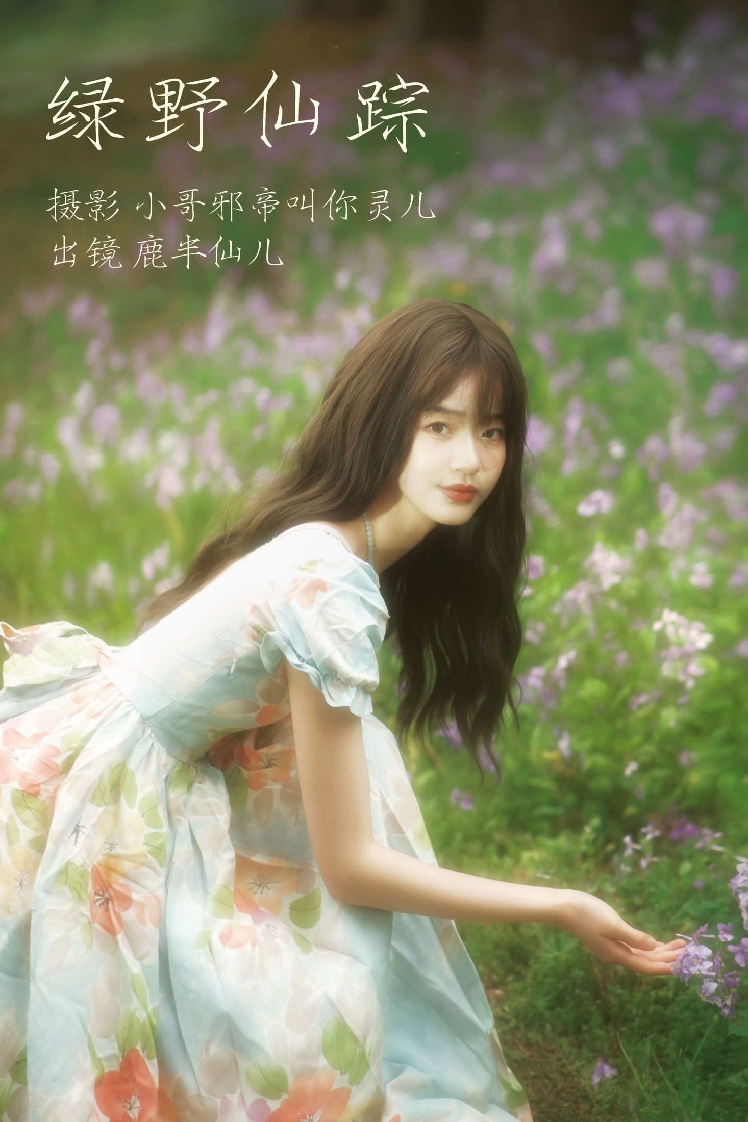 绿野仙踪