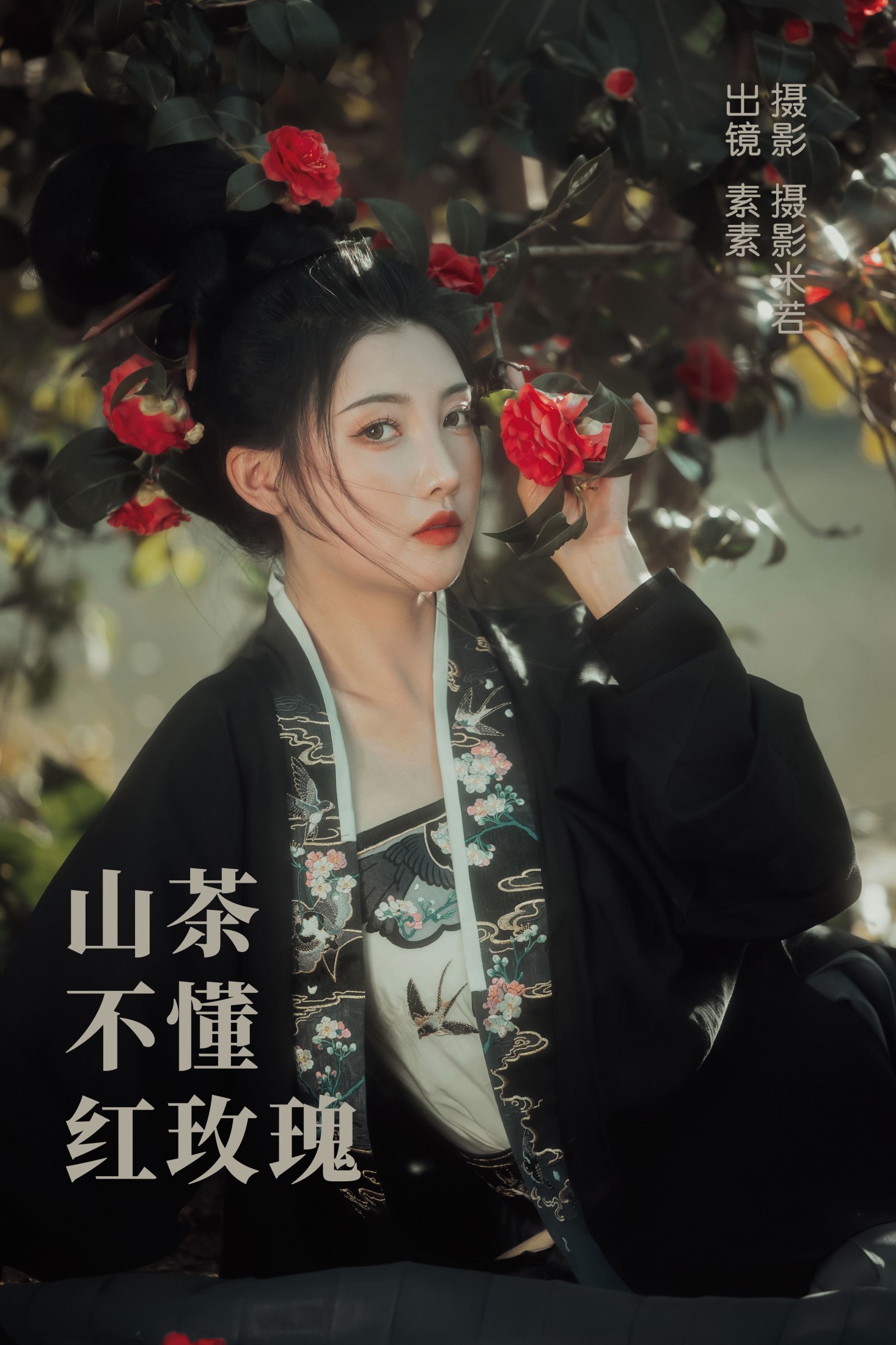 山茶不懂红玫瑰