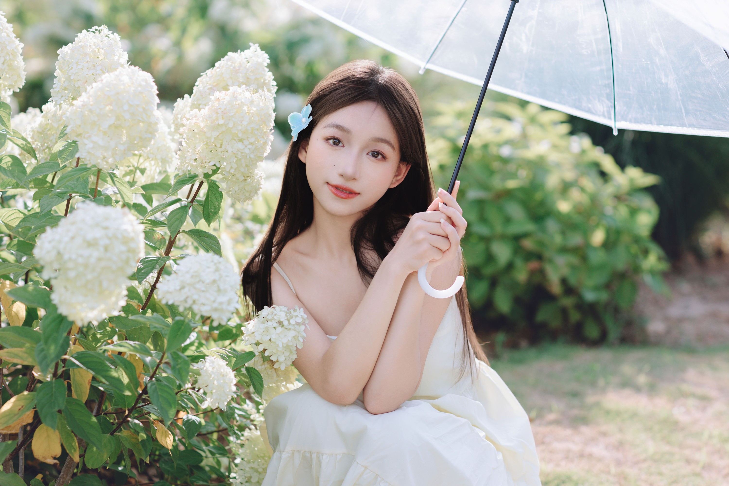 钰儿 – 《夏日绣球》[26P]