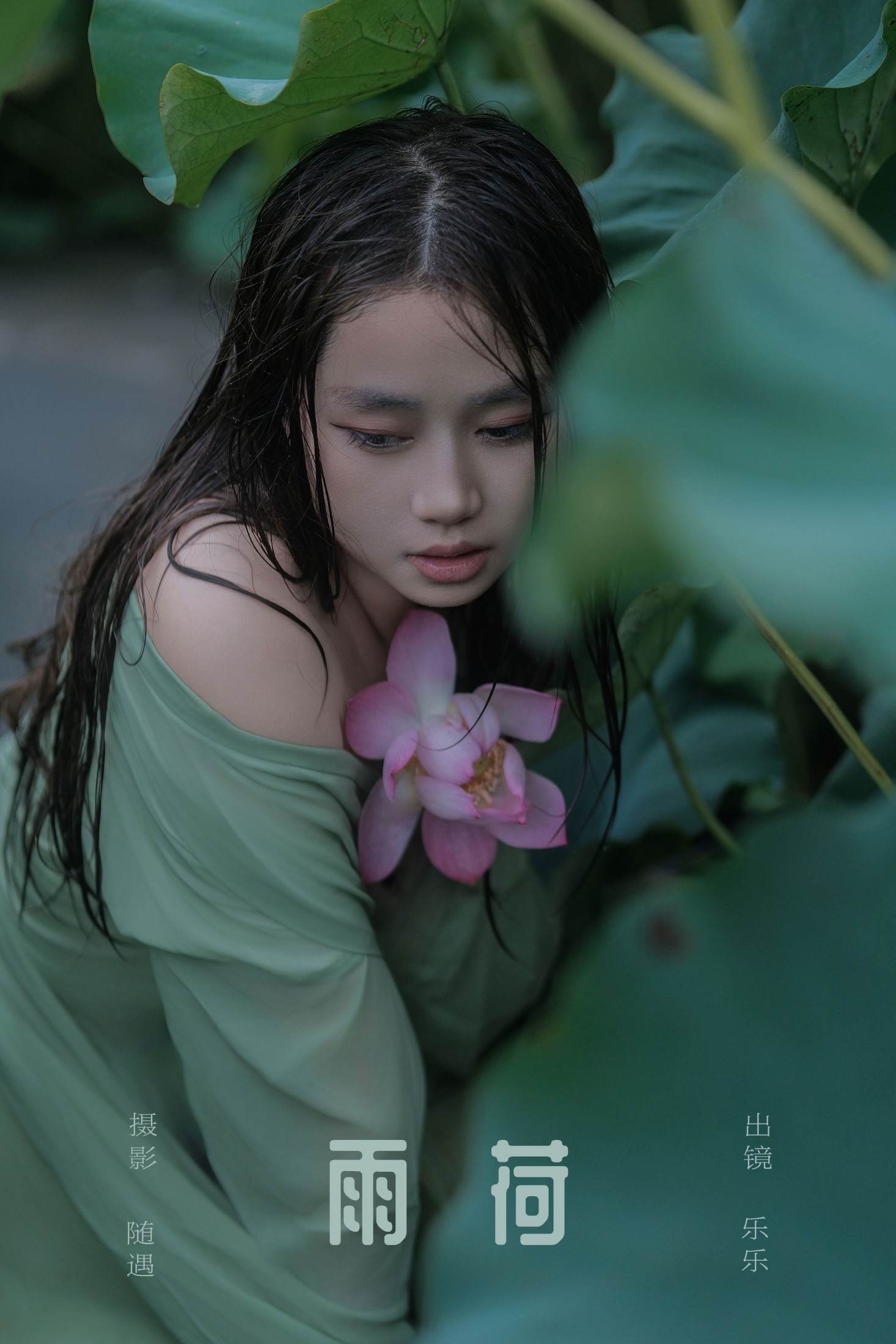 雨荷
