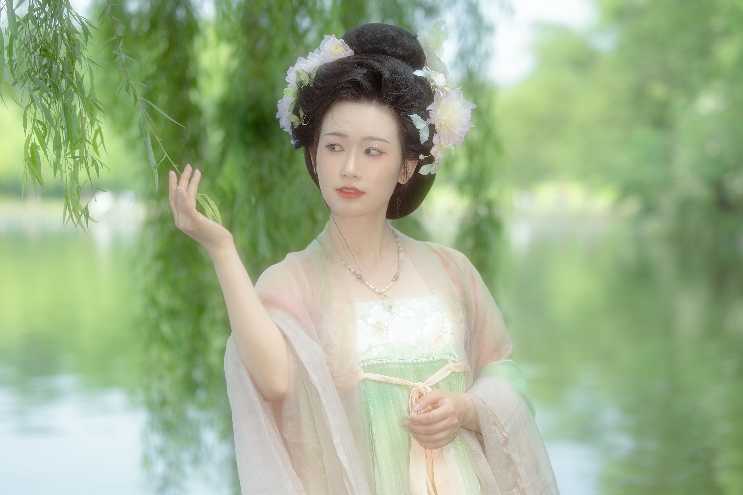知时 – 《杨柳依依》[20P]